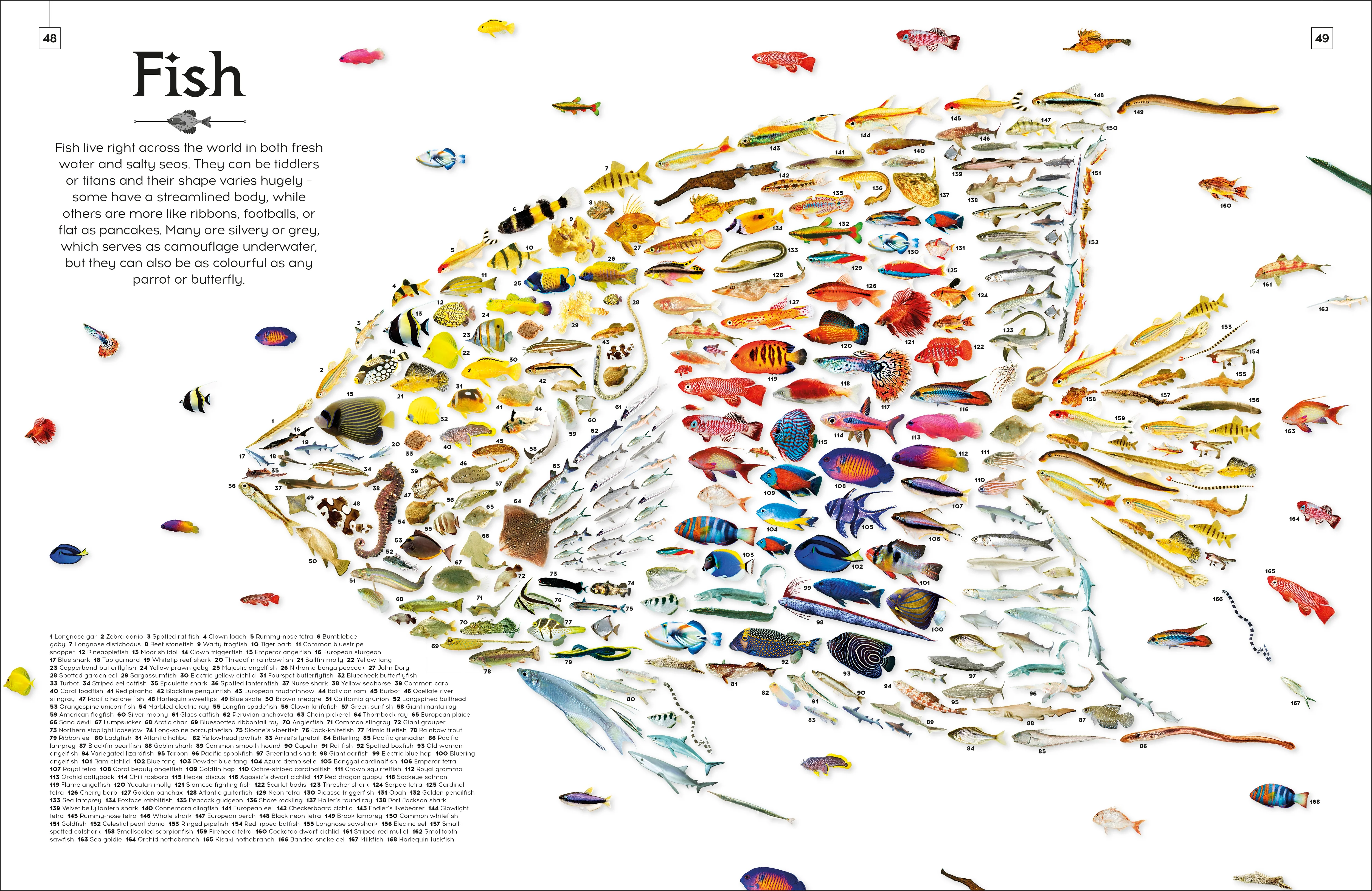 Shapes of Nature - Image 10