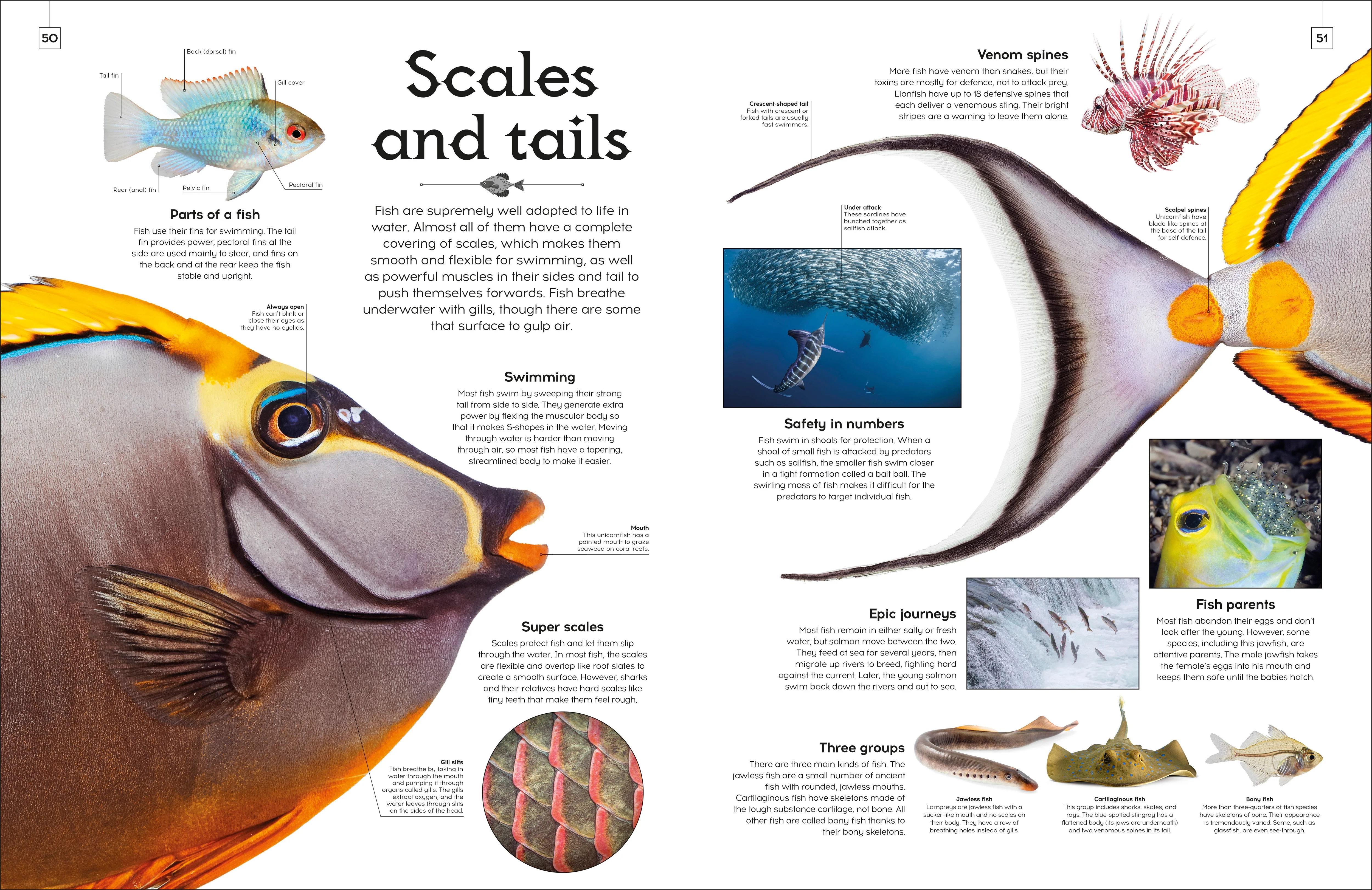 Shapes of Nature - Image 11
