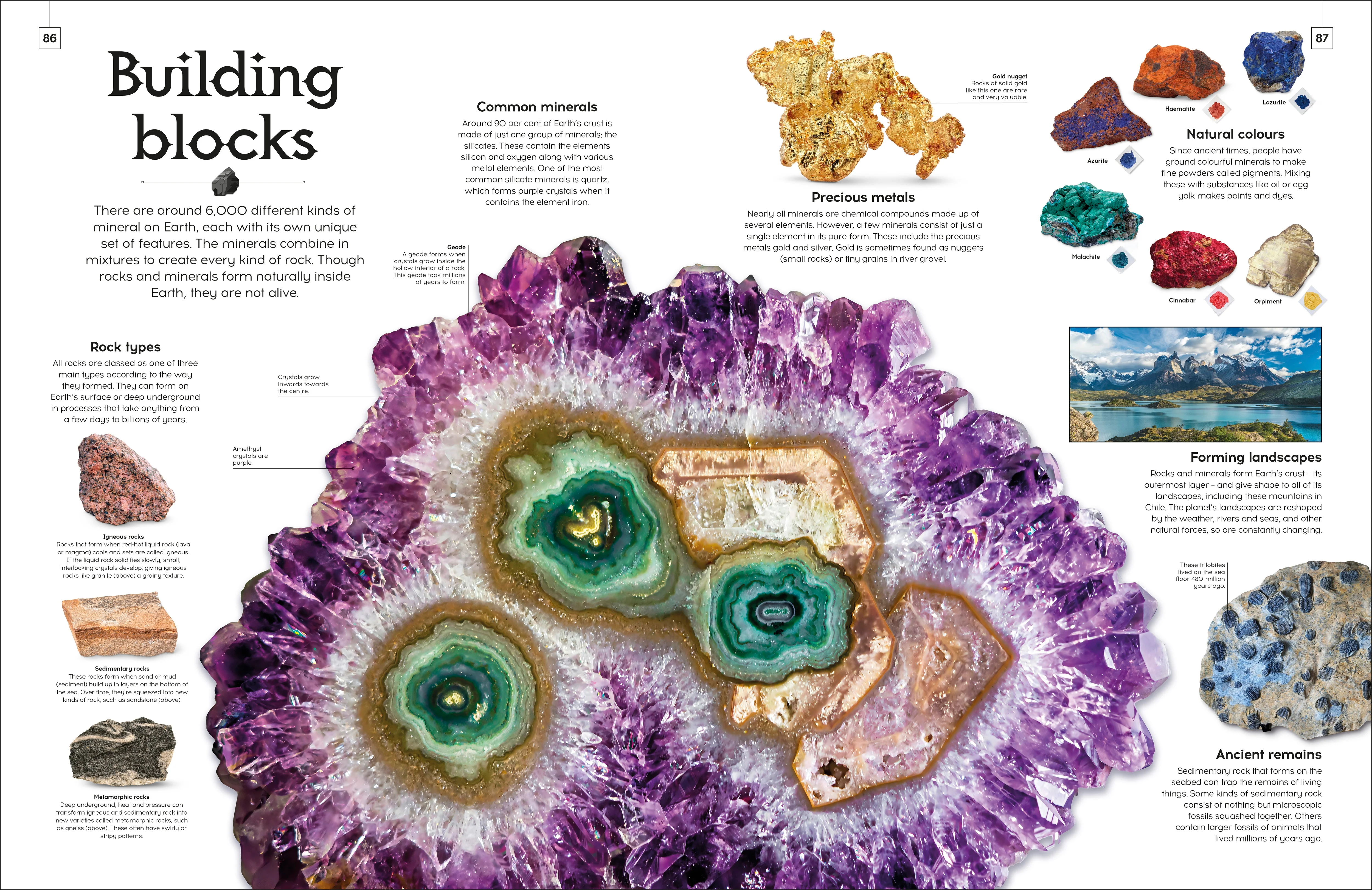 Shapes of Nature - Image 15