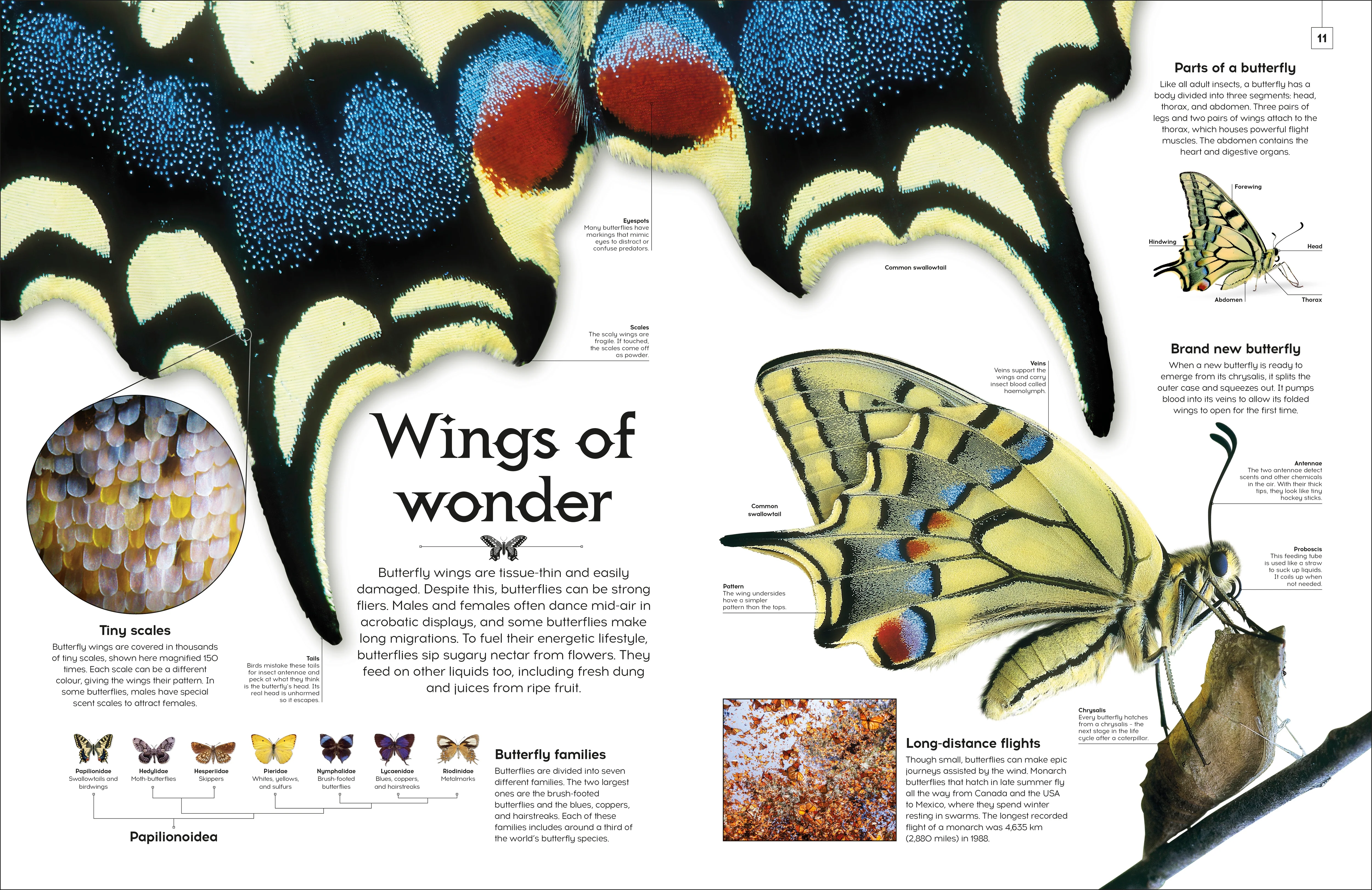 Shapes of Nature - Image 3