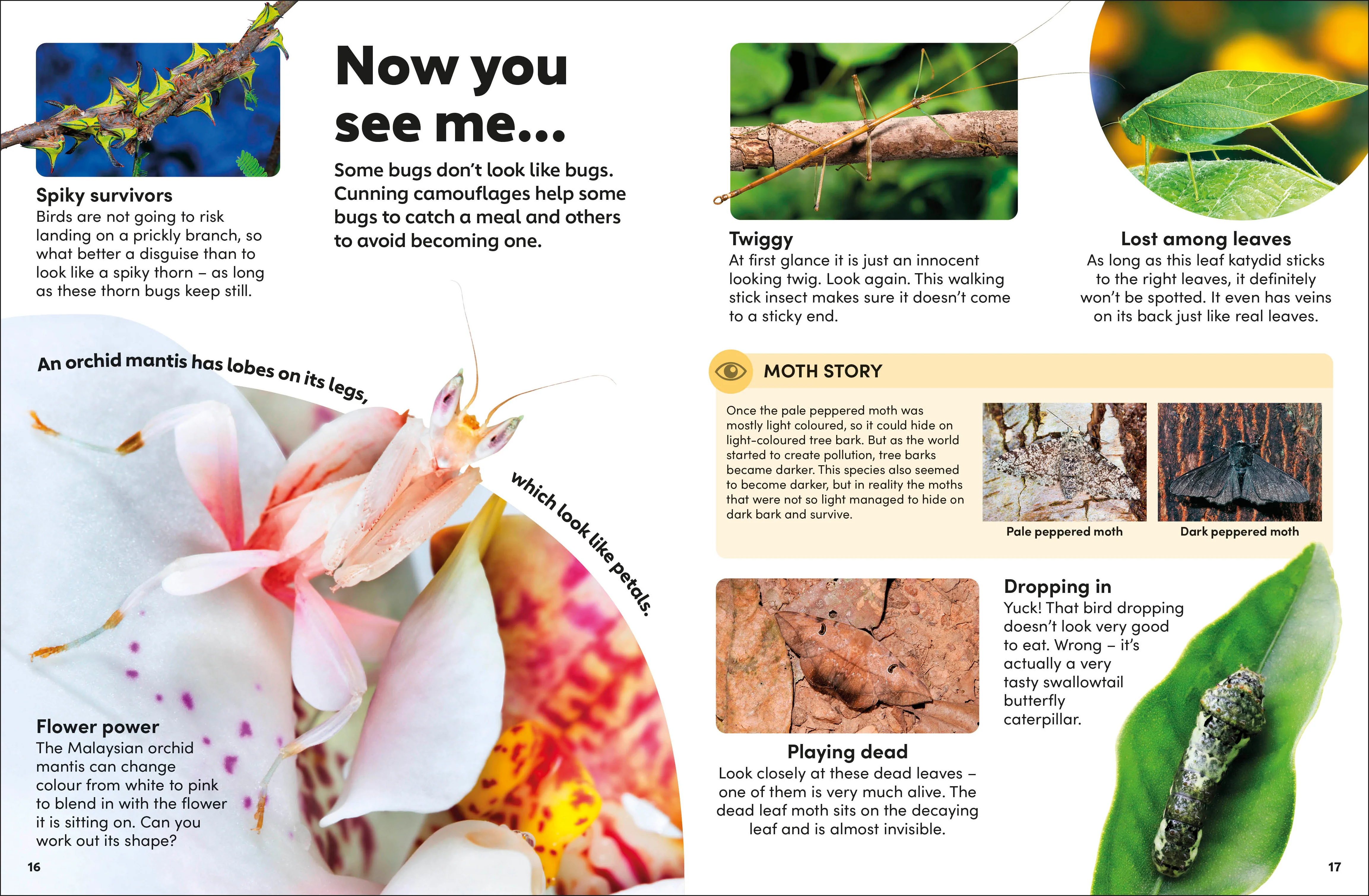 Eyewonder Bugs - Image 2