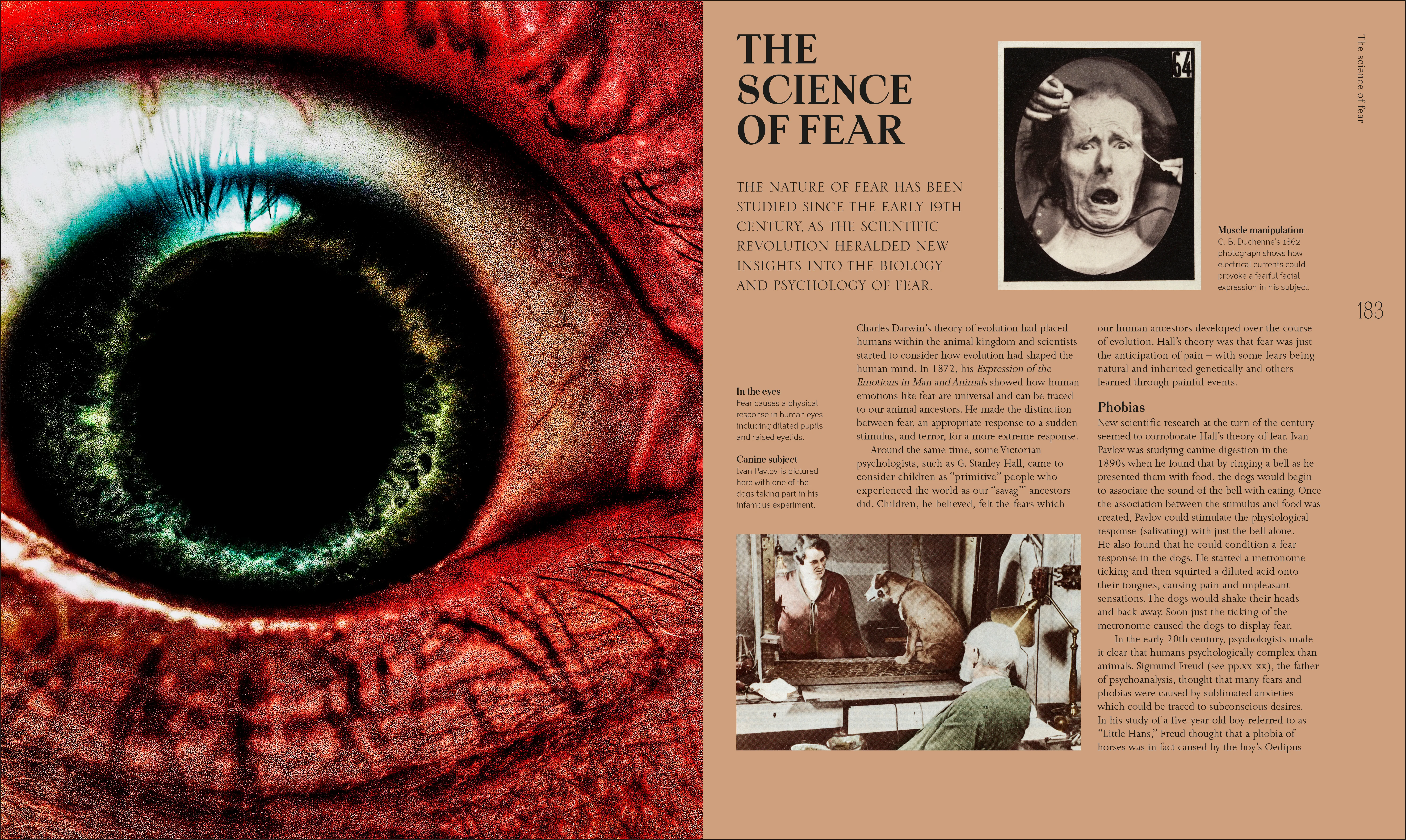 A History of Horror, Fear, and the Uncanny - Image 6