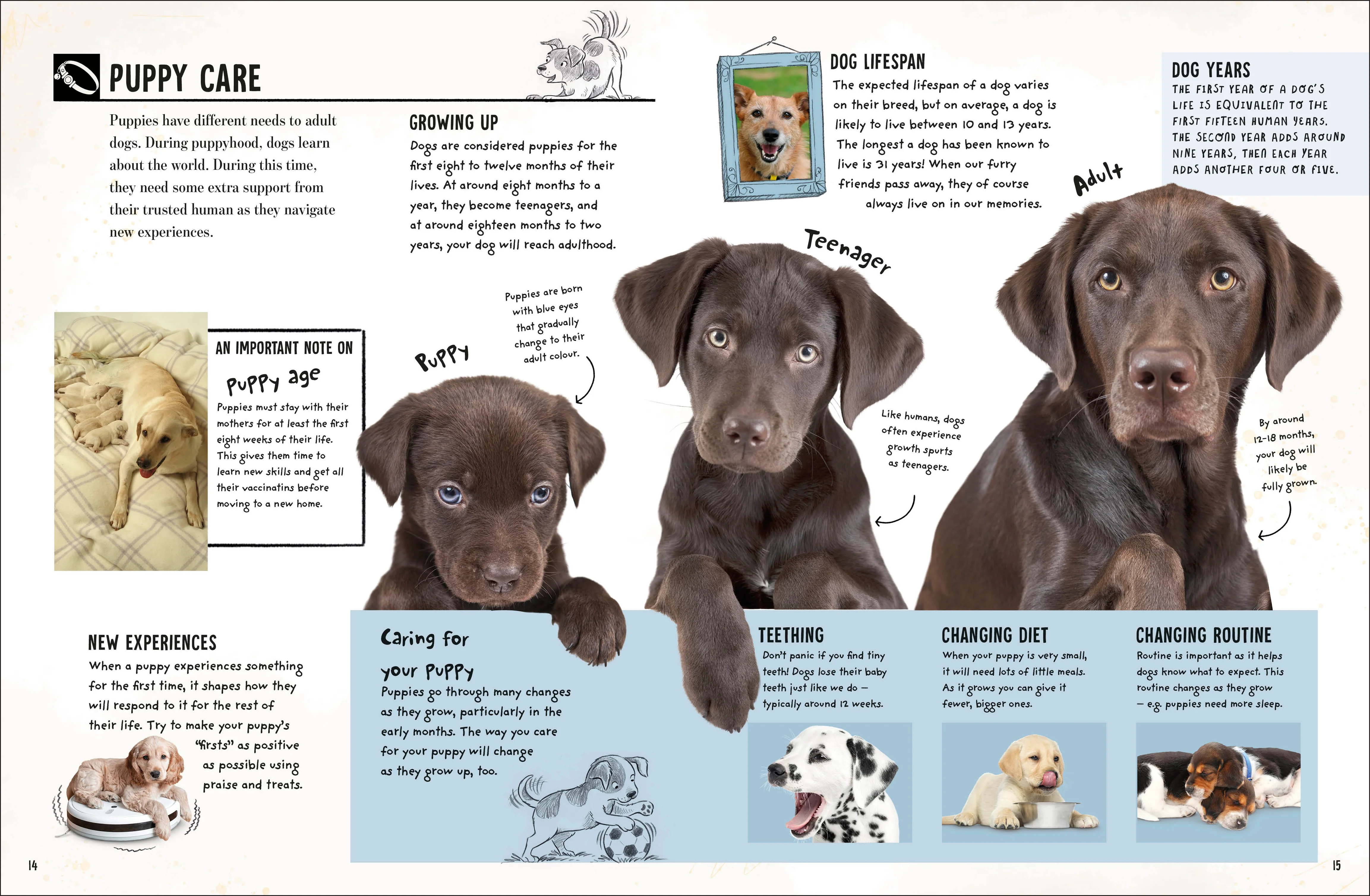 My Dog - Image 4