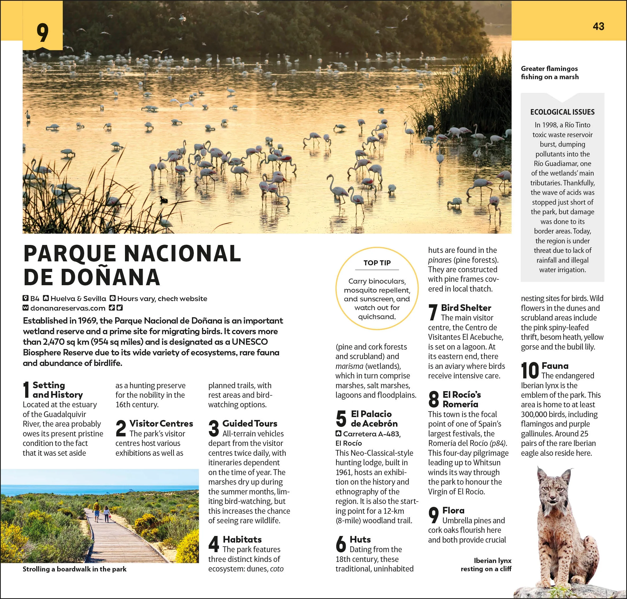 DK Top 10 Andalucía and the Costa del Sol - Image 7