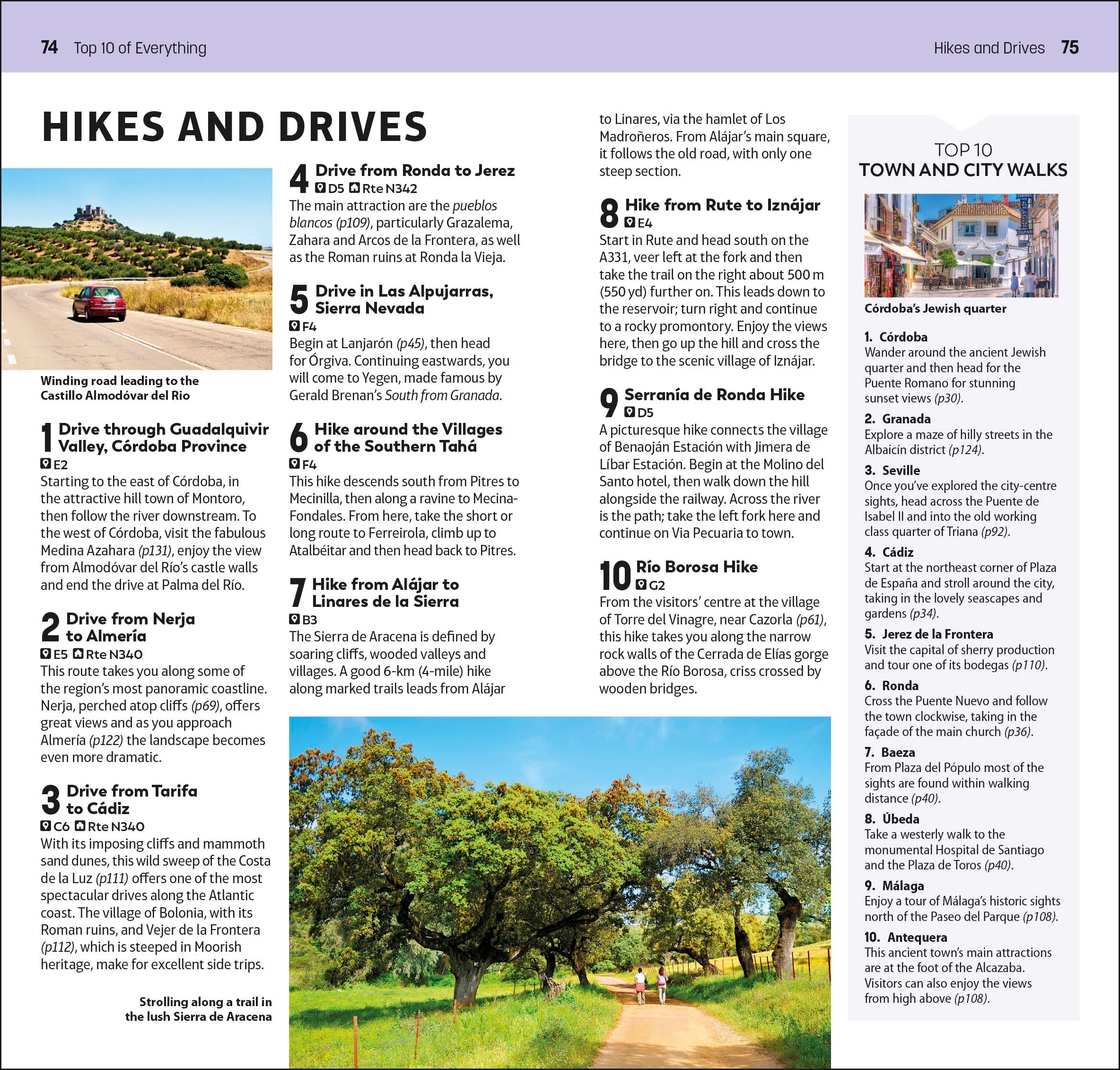DK Top 10 Andalucía and the Costa del Sol - Image 9
