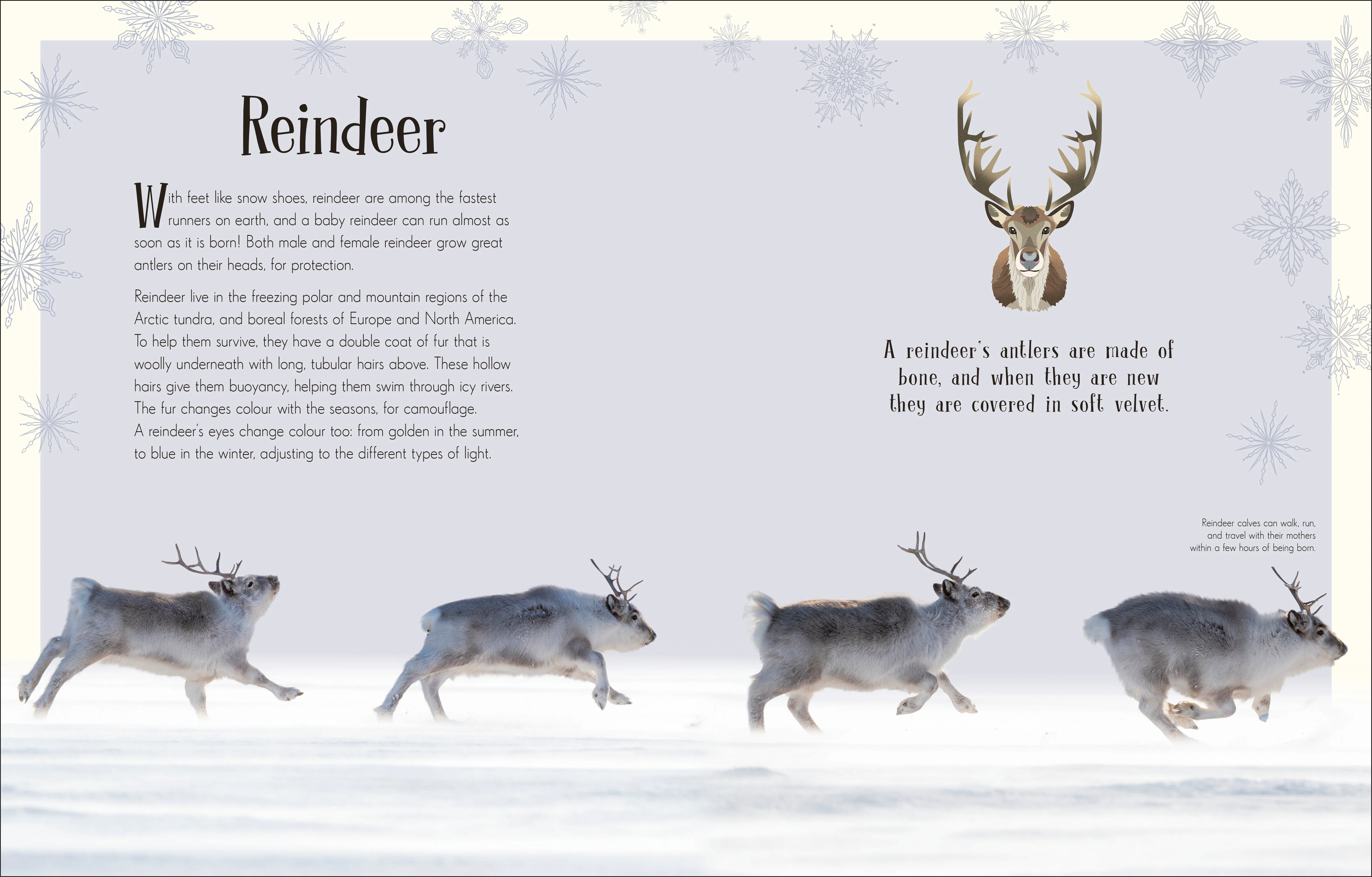 An Anthology of Christmas - Image 4