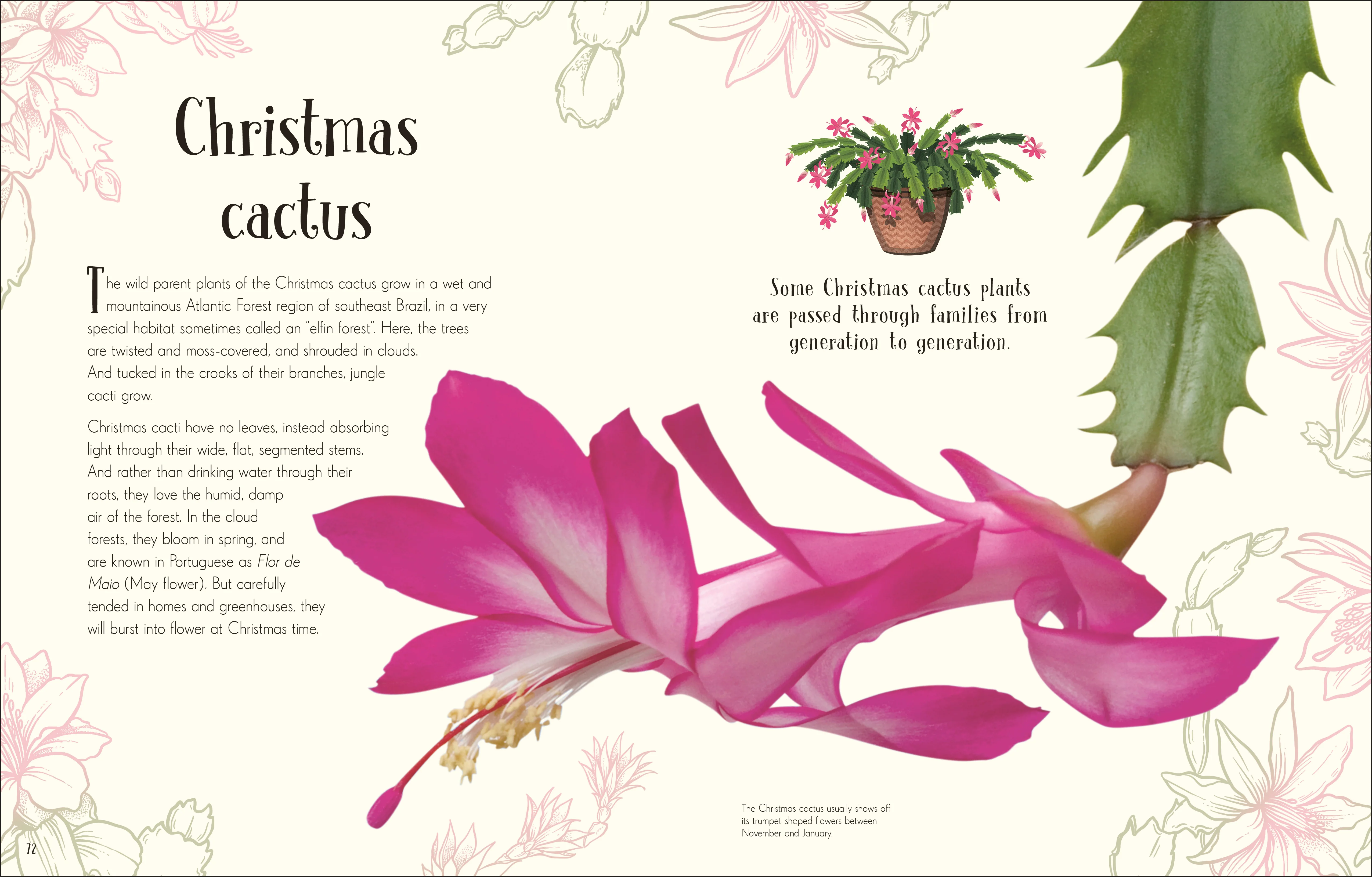 An Anthology of Christmas - Image 7