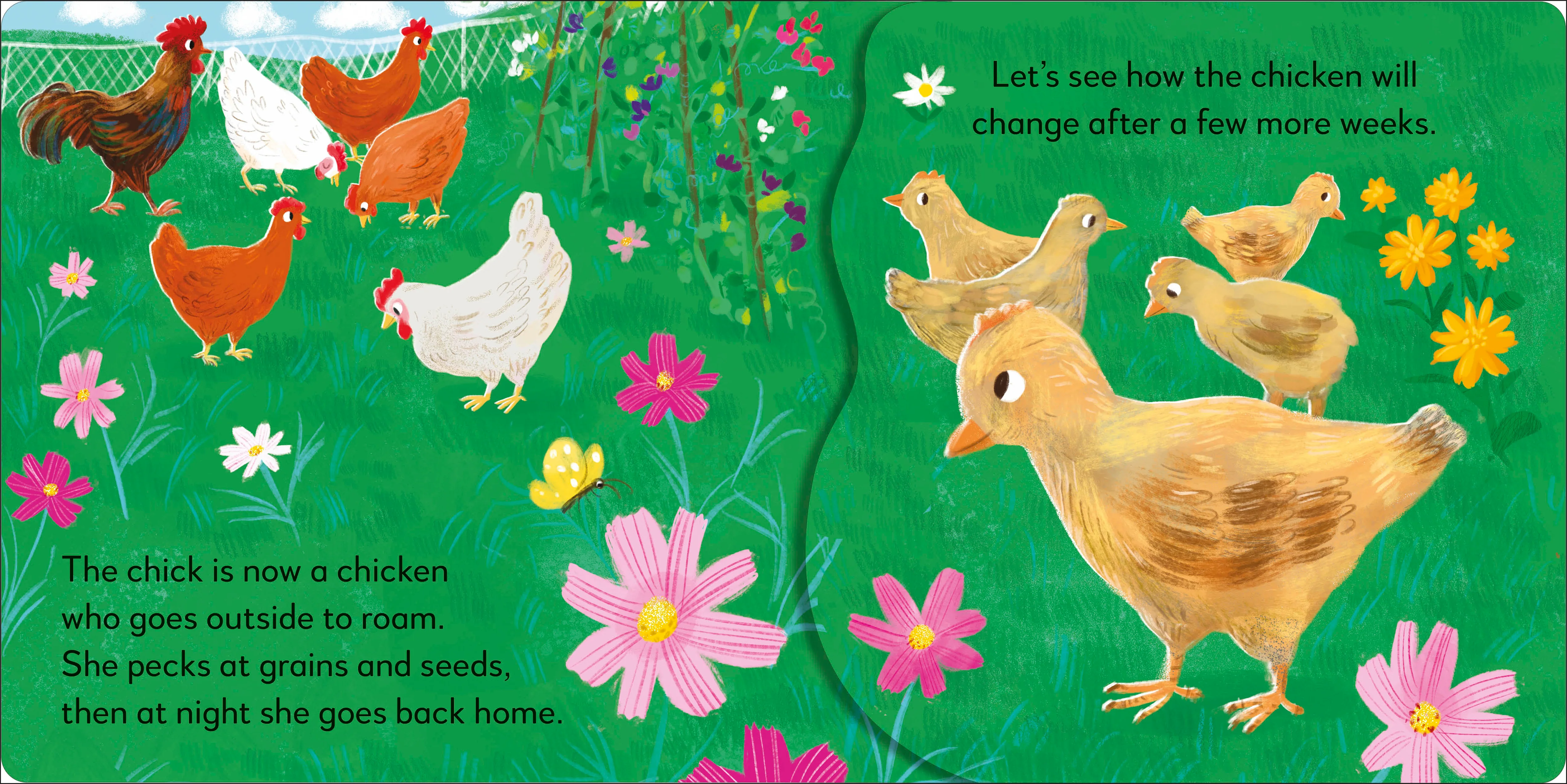 Pop-up Peekaboo! Chick - Image 6