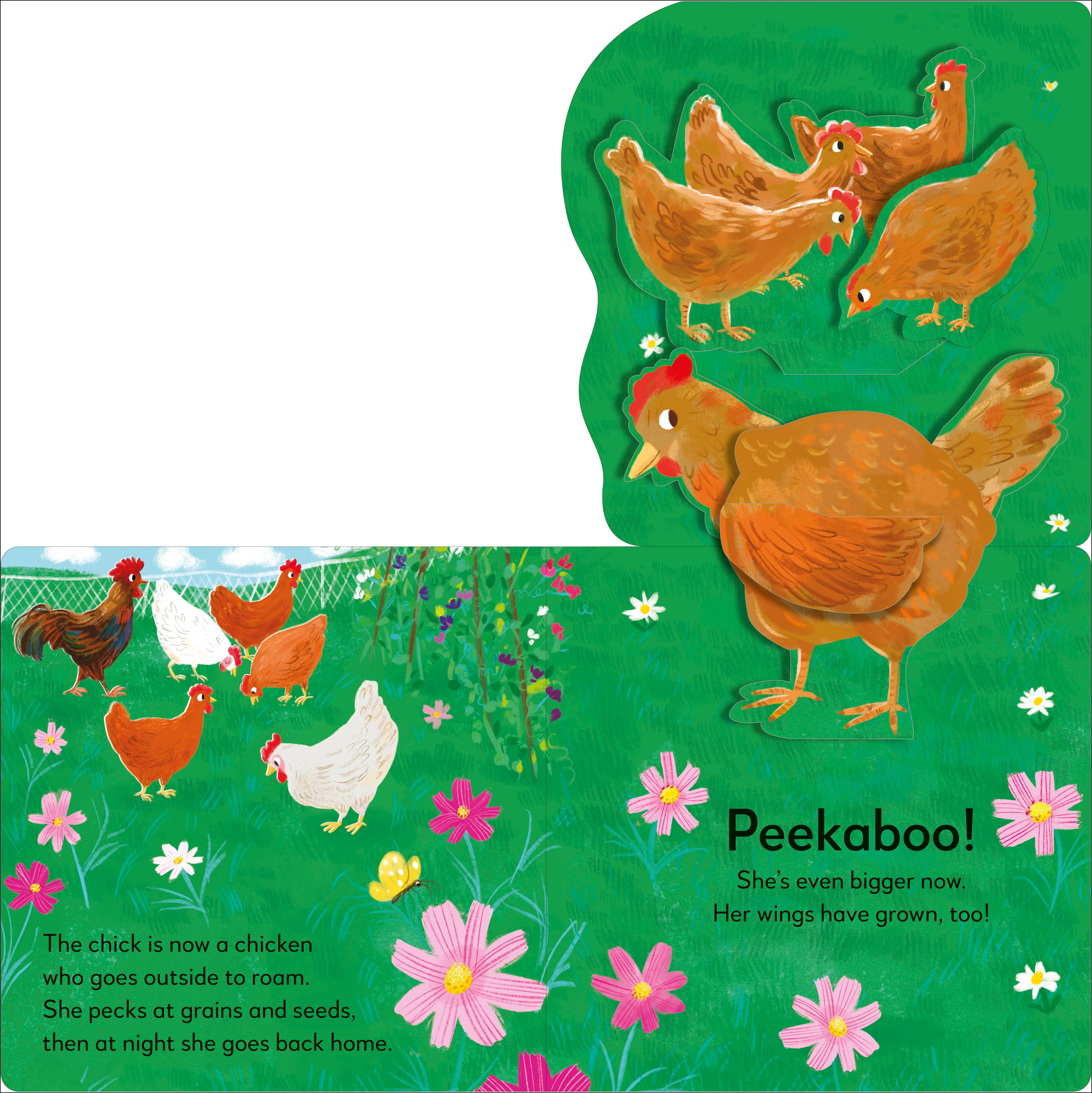Pop-up Peekaboo! Chick - Image 7