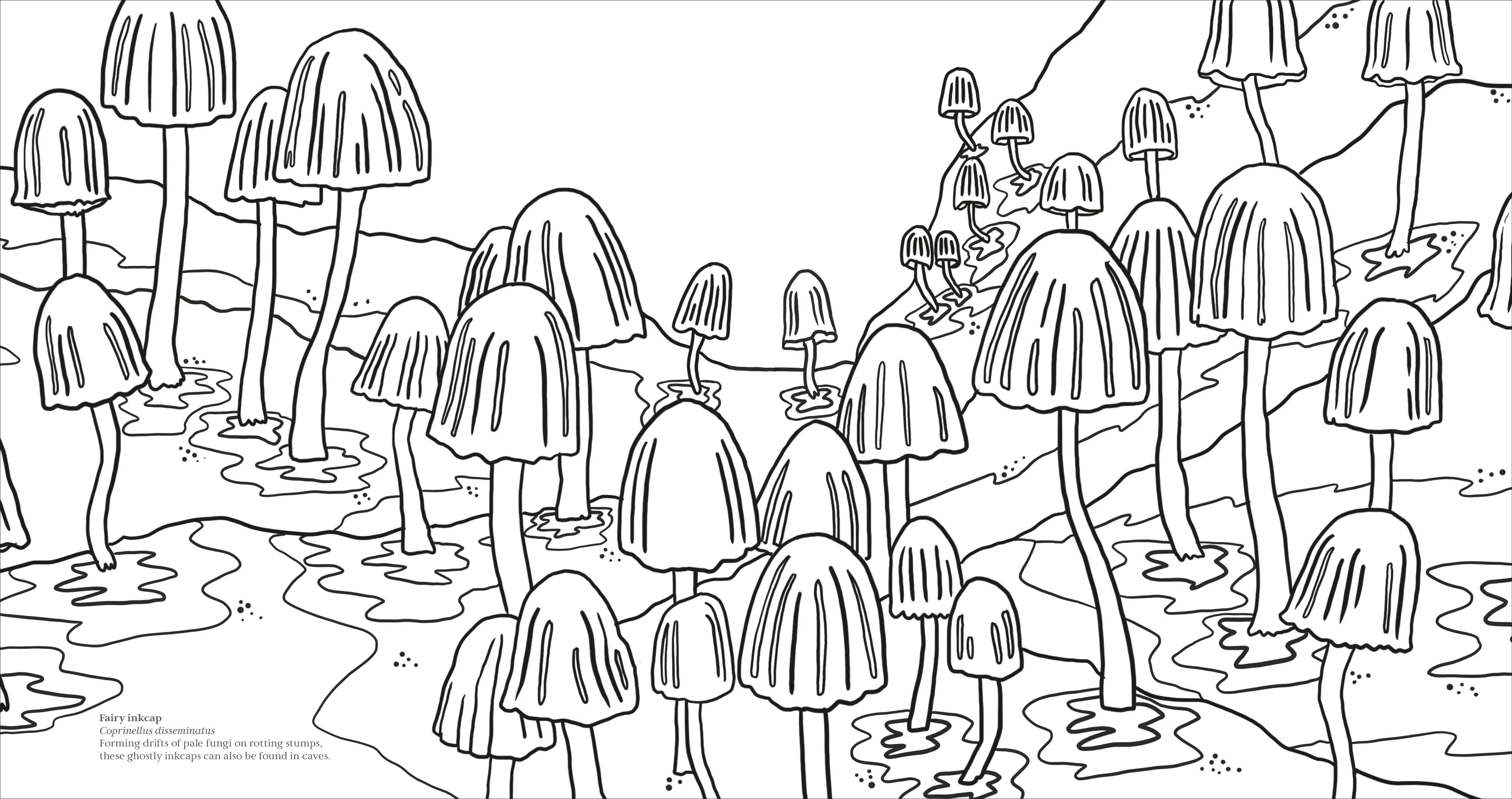 Fascinating Fungi Colouring Book - Image 7