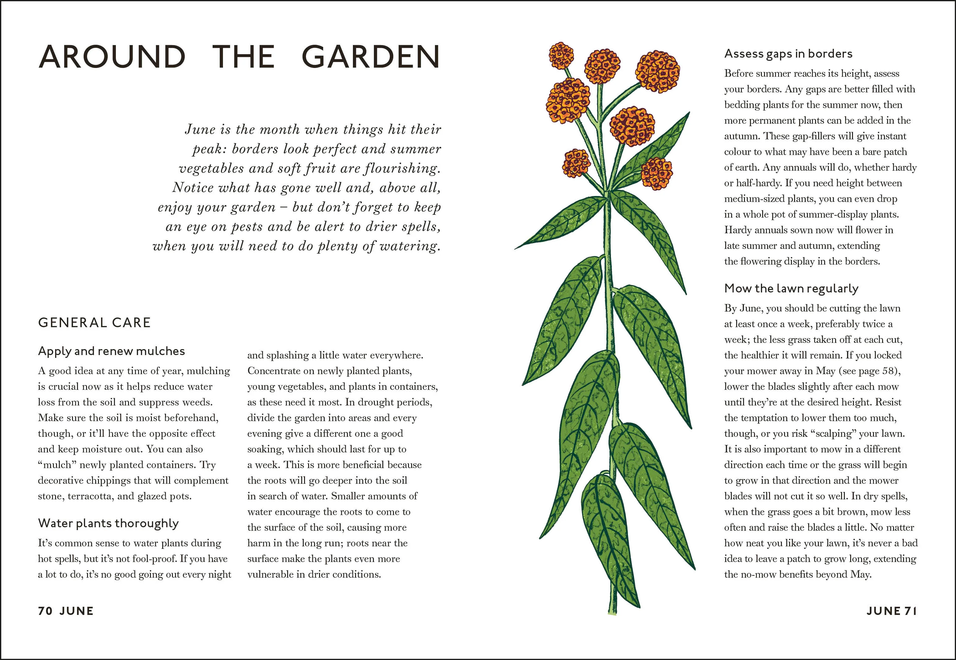 Your Gardening Year - Image 10