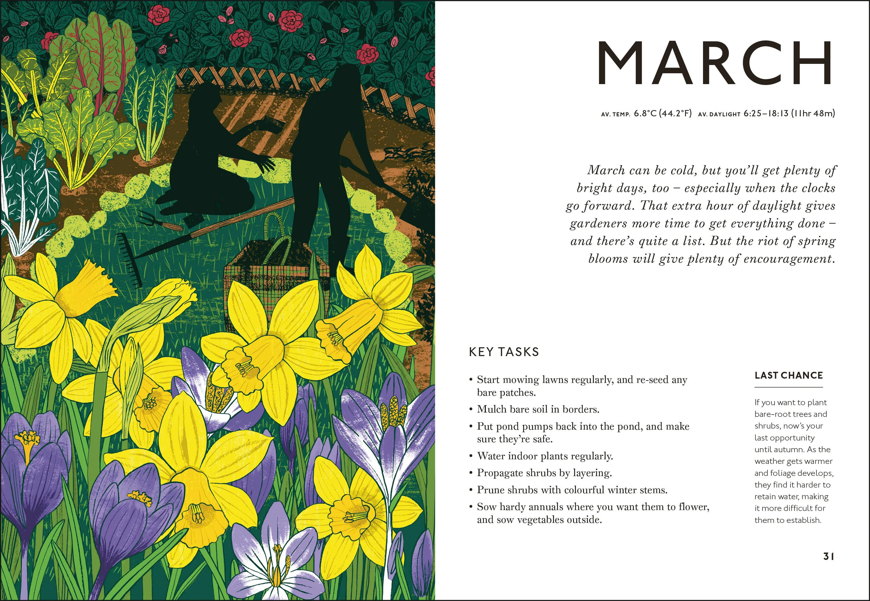 Your Gardening Year - Image 3