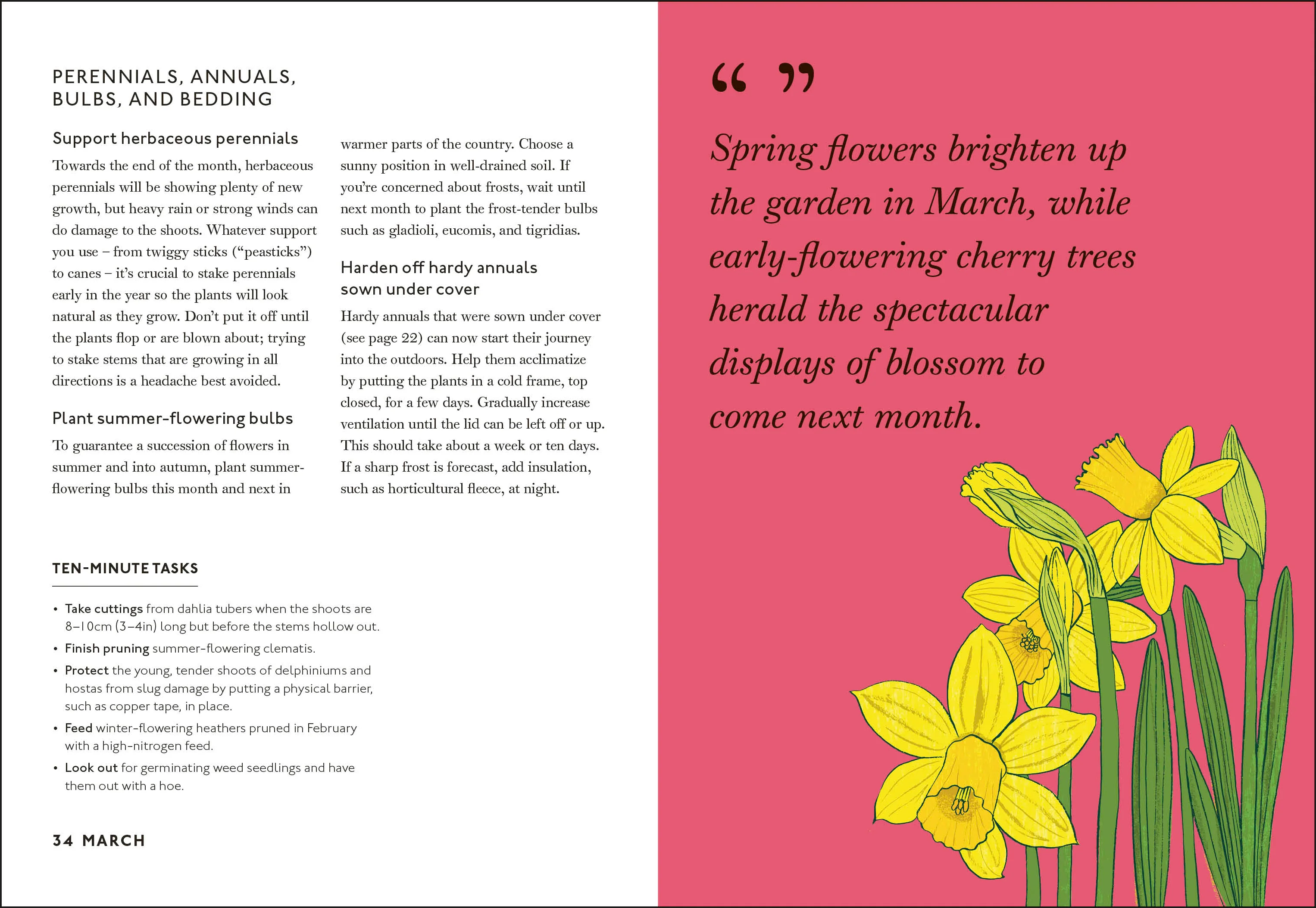 Your Gardening Year - Image 5