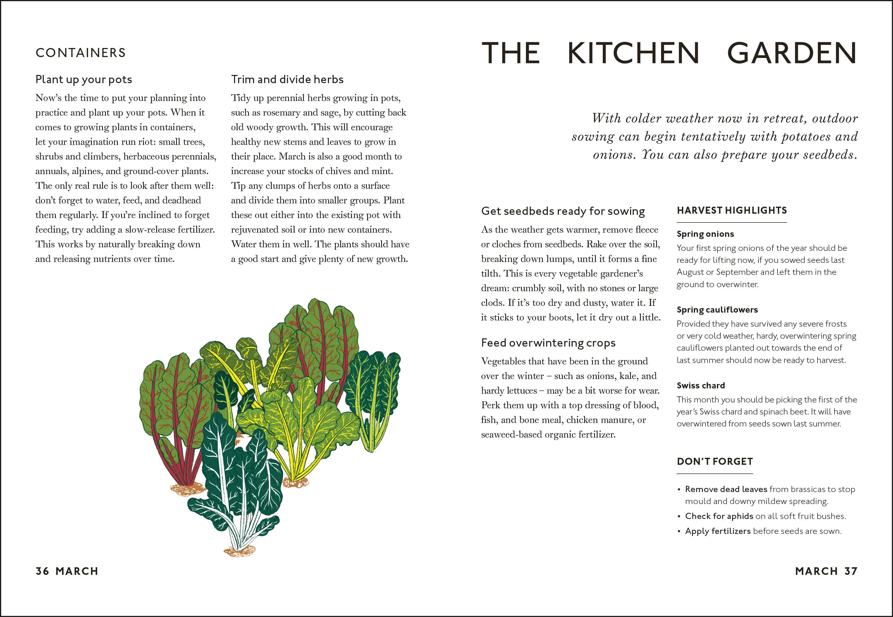 Your Gardening Year - Image 6