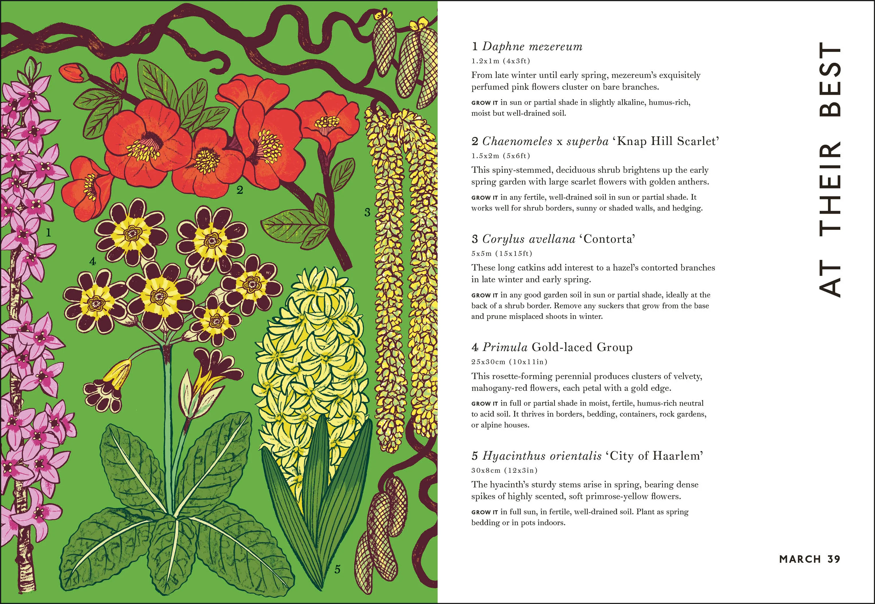 Your Gardening Year - Image 7