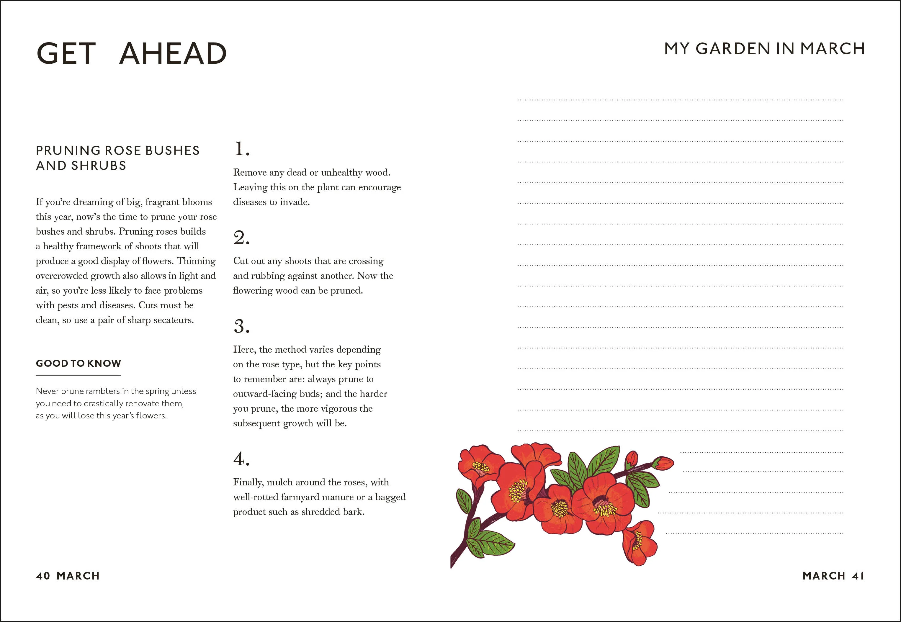 Your Gardening Year - Image 8