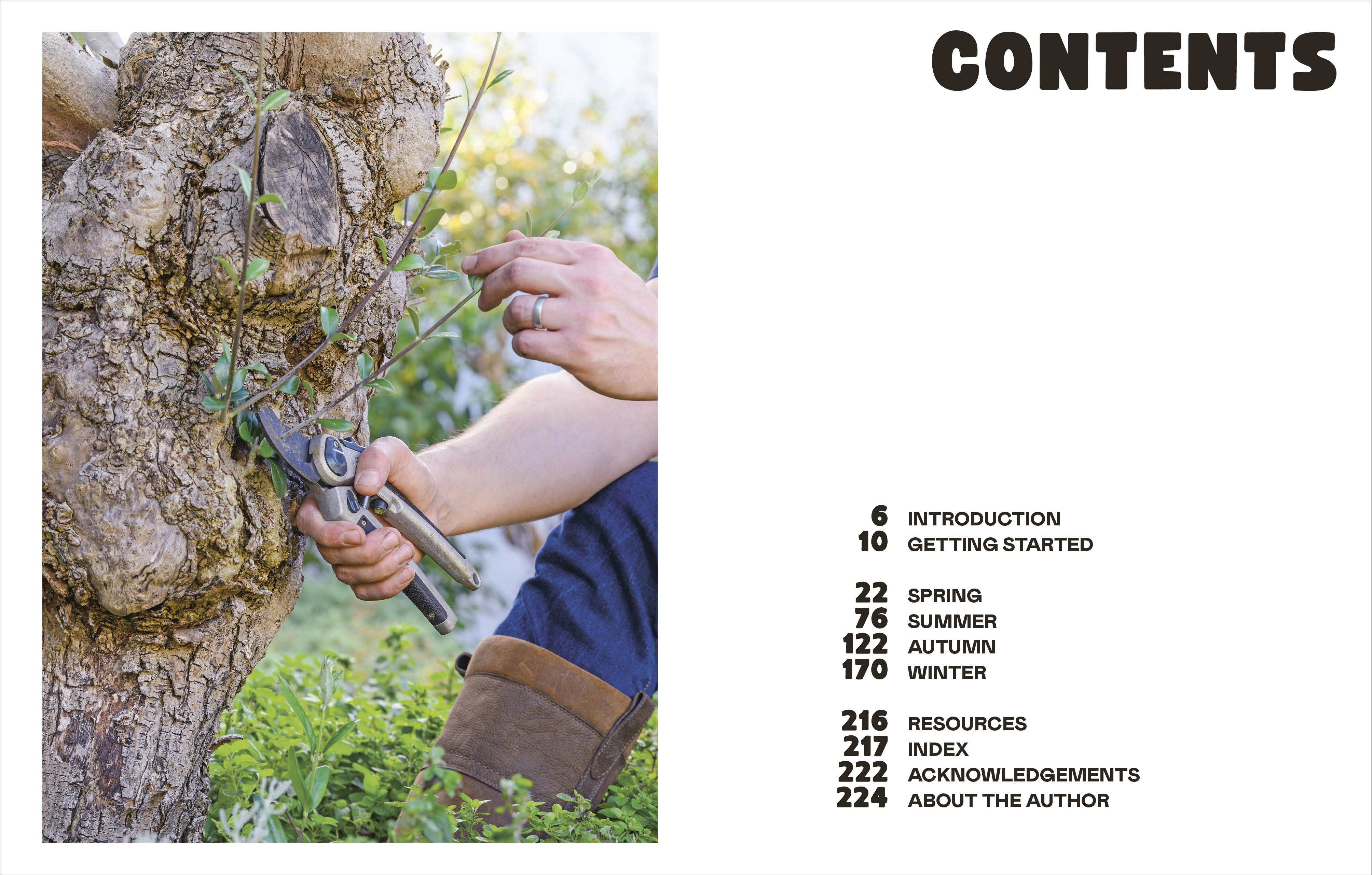 The Easy Garden - Image 2