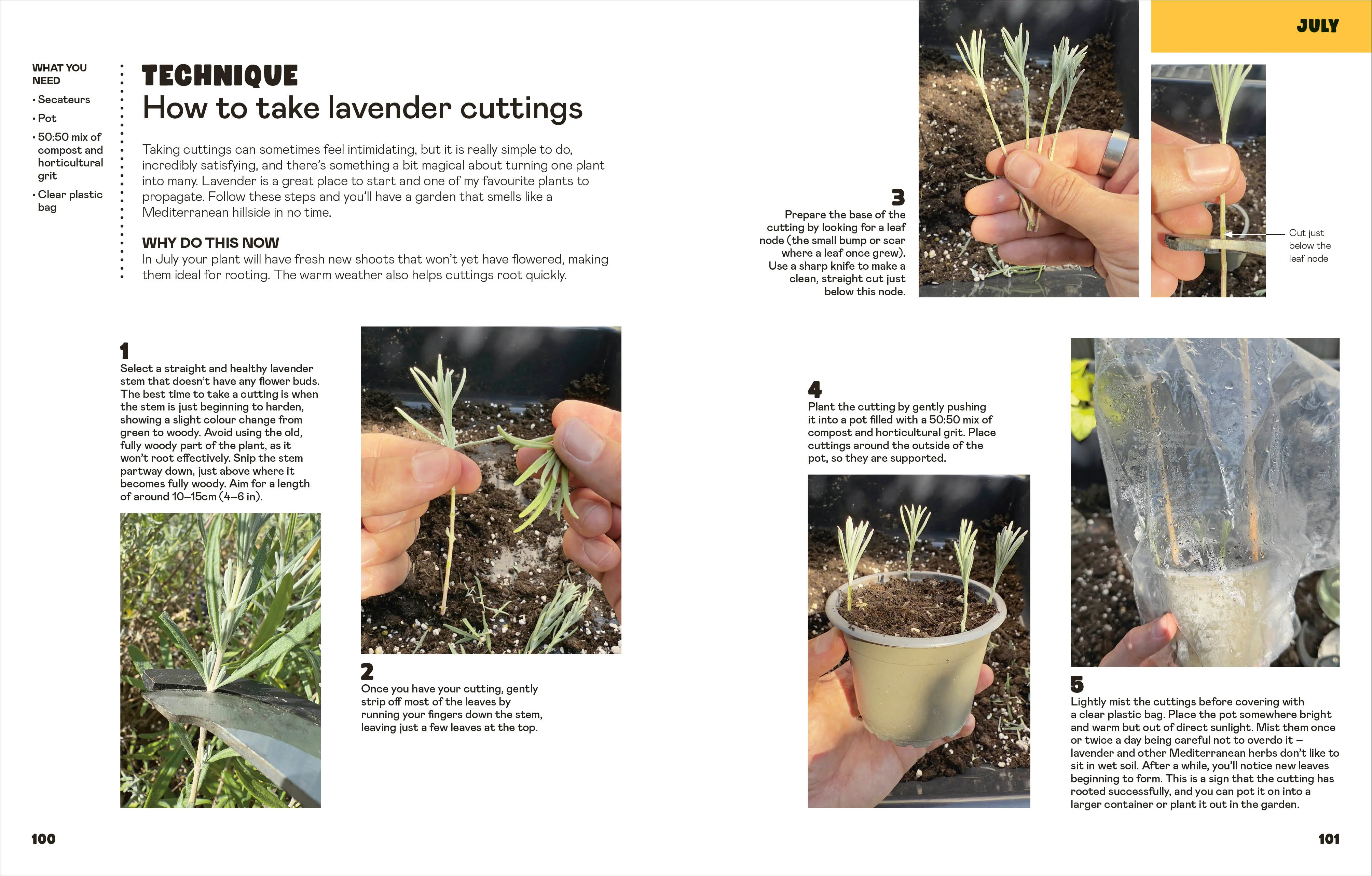 The Easy Garden - Image 5