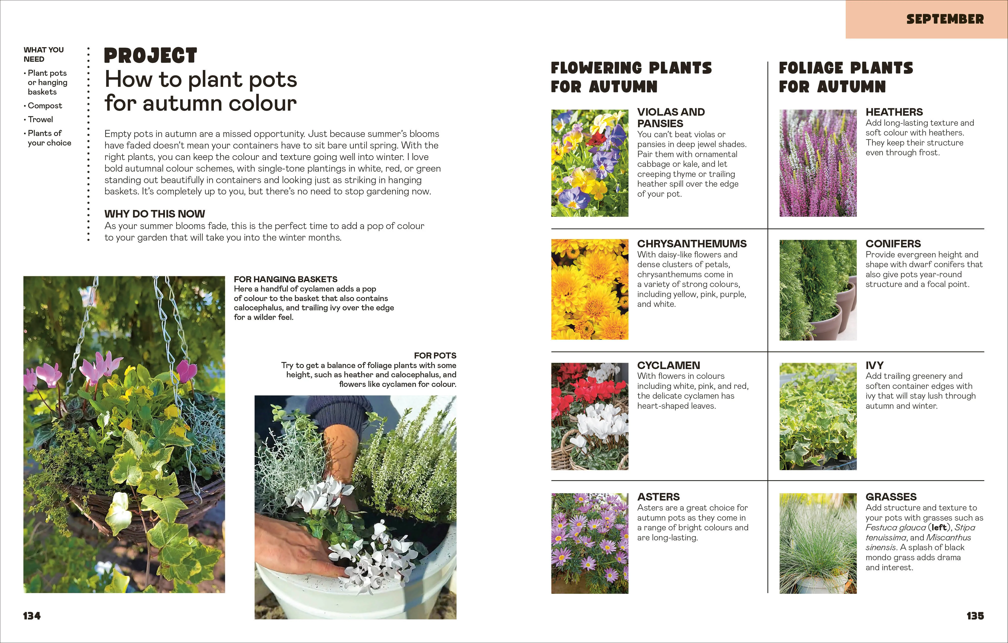 The Easy Garden - Image 6