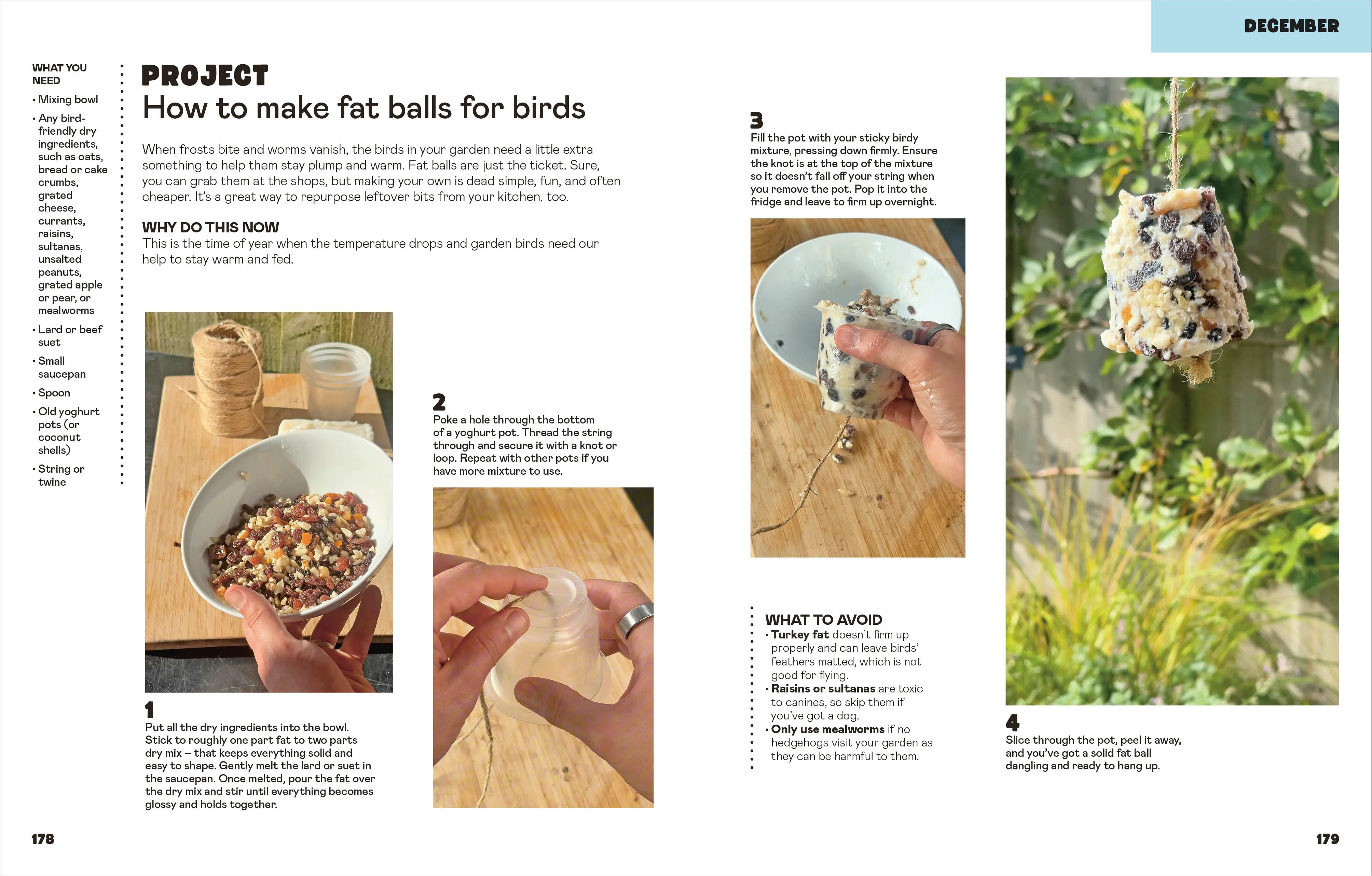 The Easy Garden - Image 7