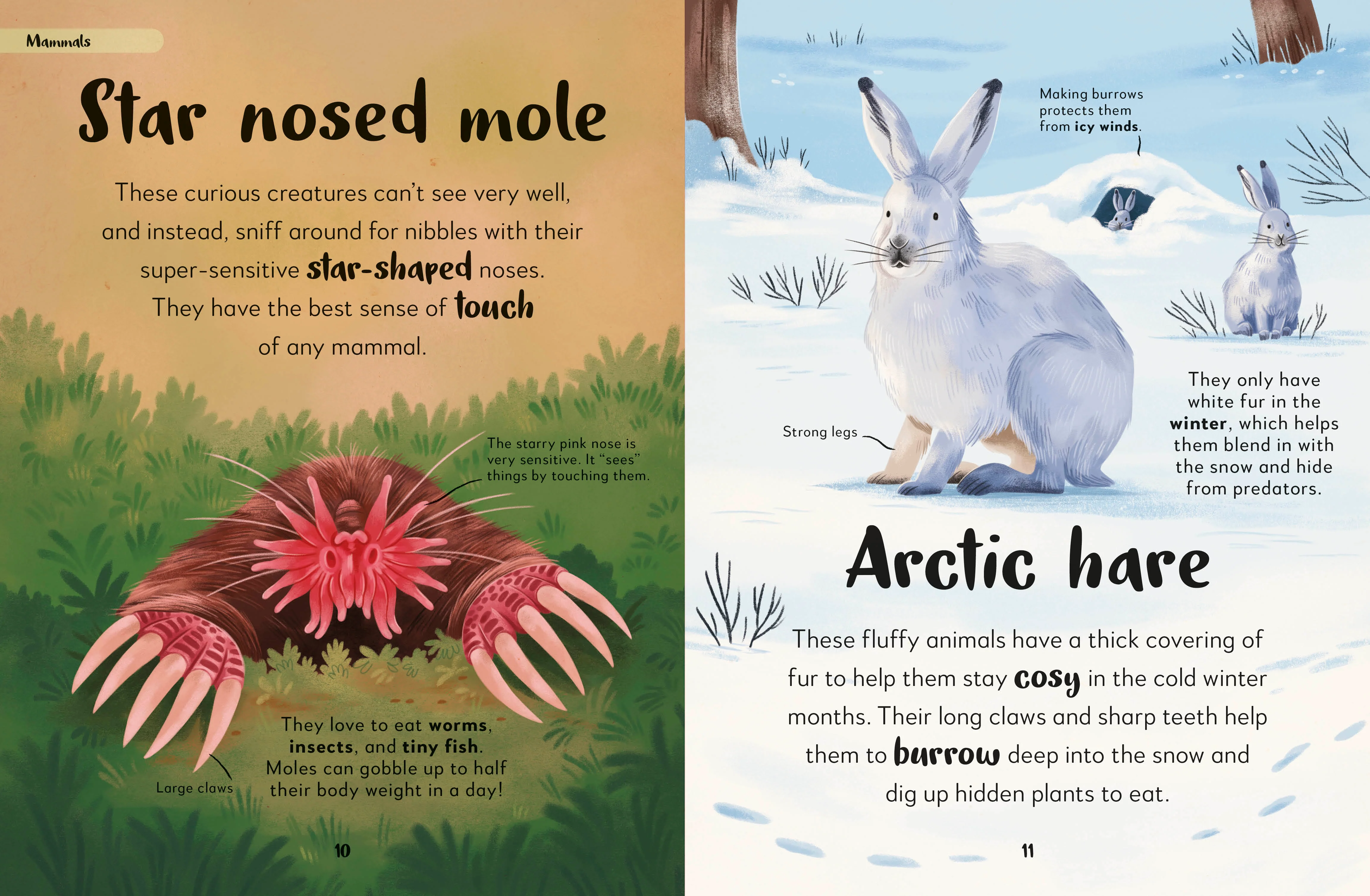 The Bedtime Book of Nighttime Animals - Image 2