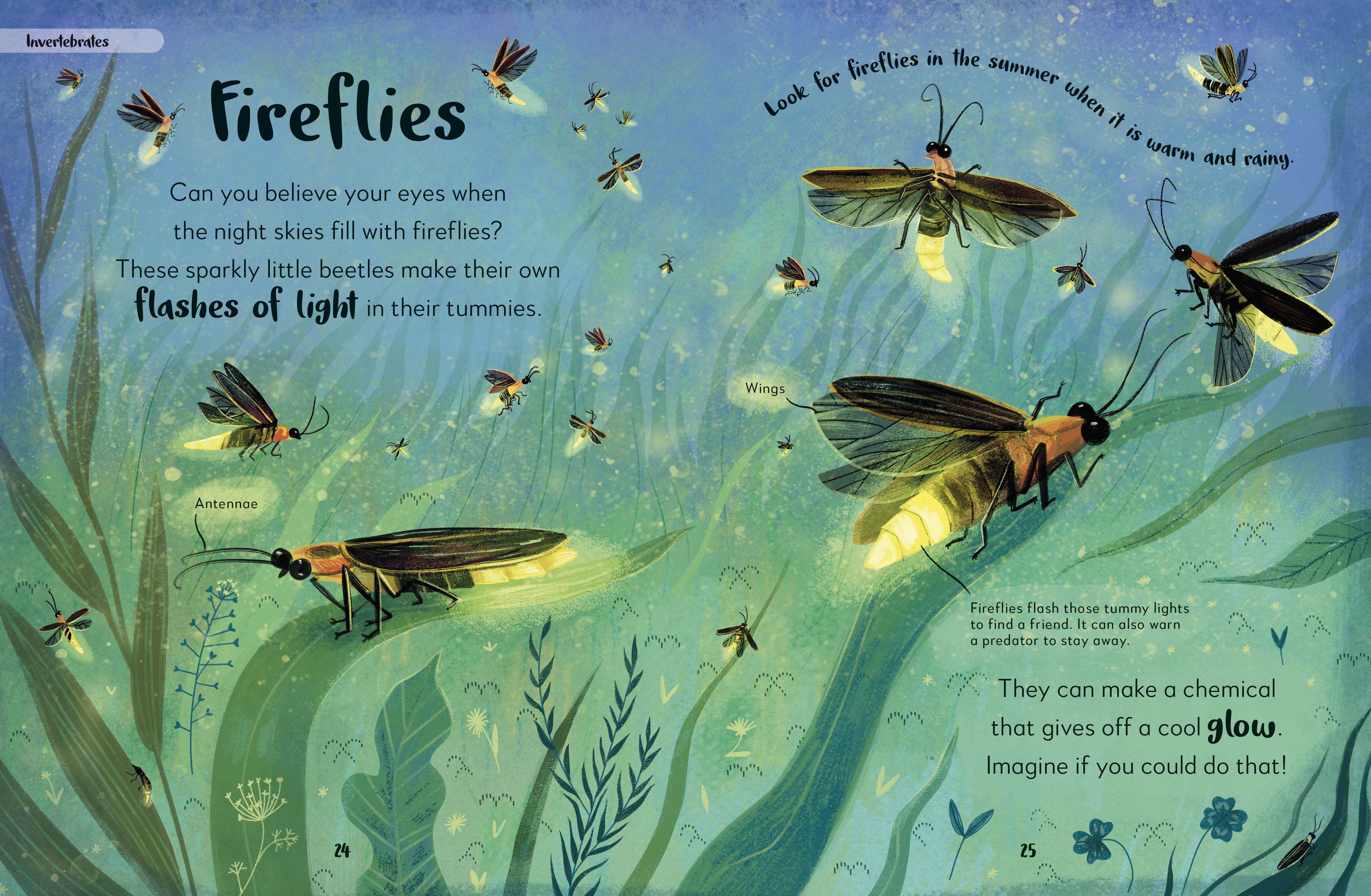 The Bedtime Book of Nighttime Animals - Image 3