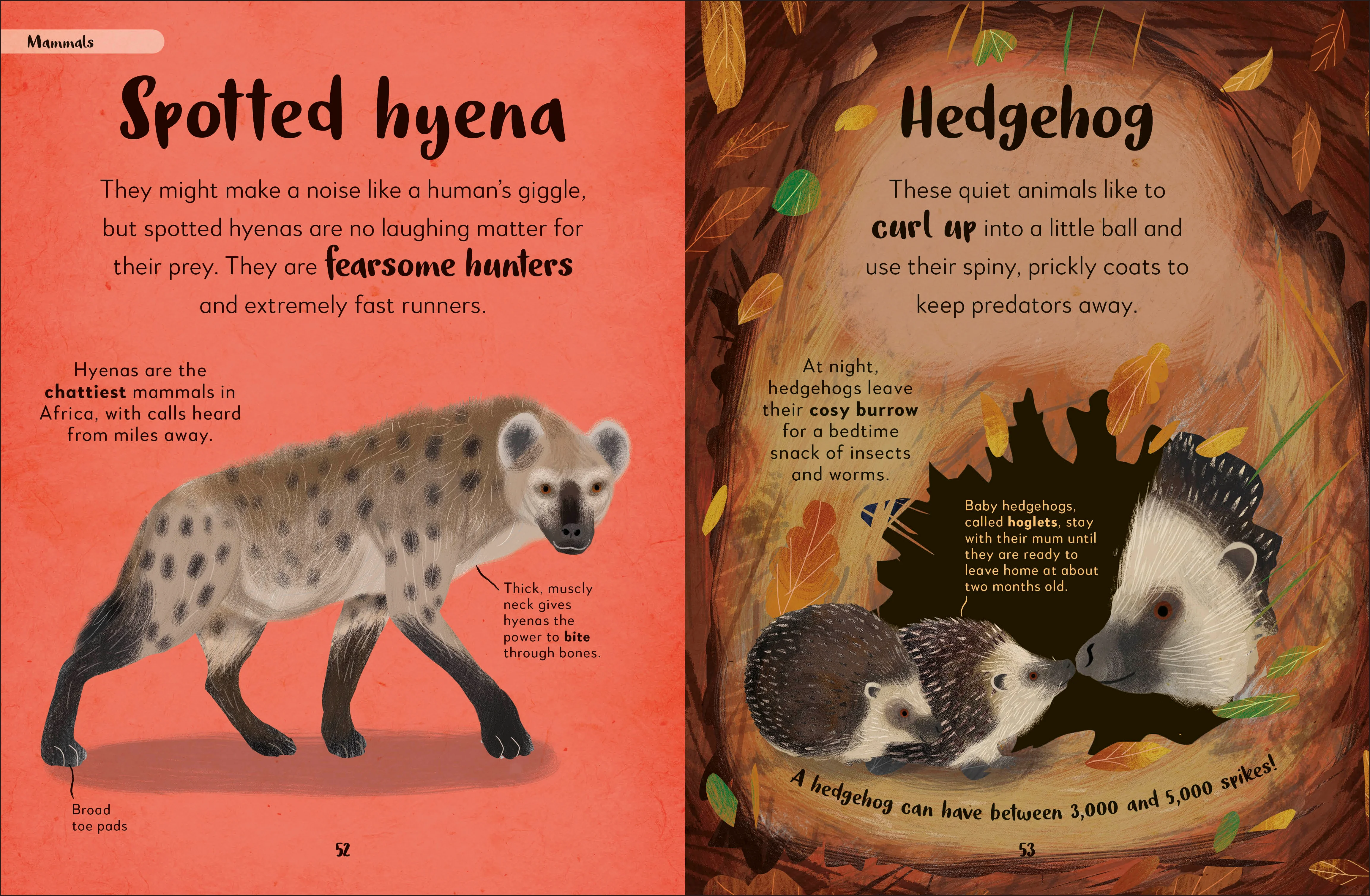 The Bedtime Book of Nighttime Animals - Image 4