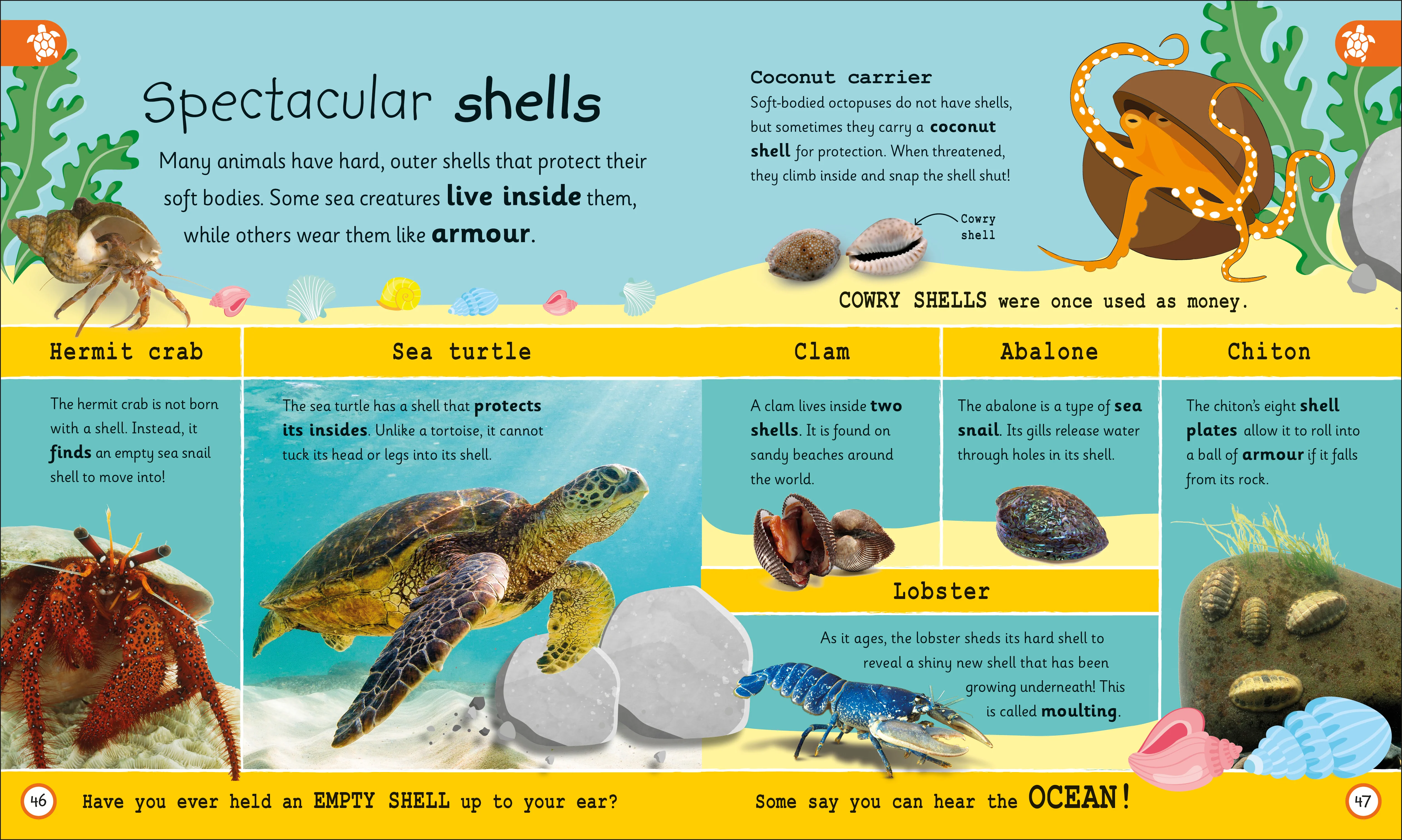 My Encyclopedia of Very Important Oceans - Image 2