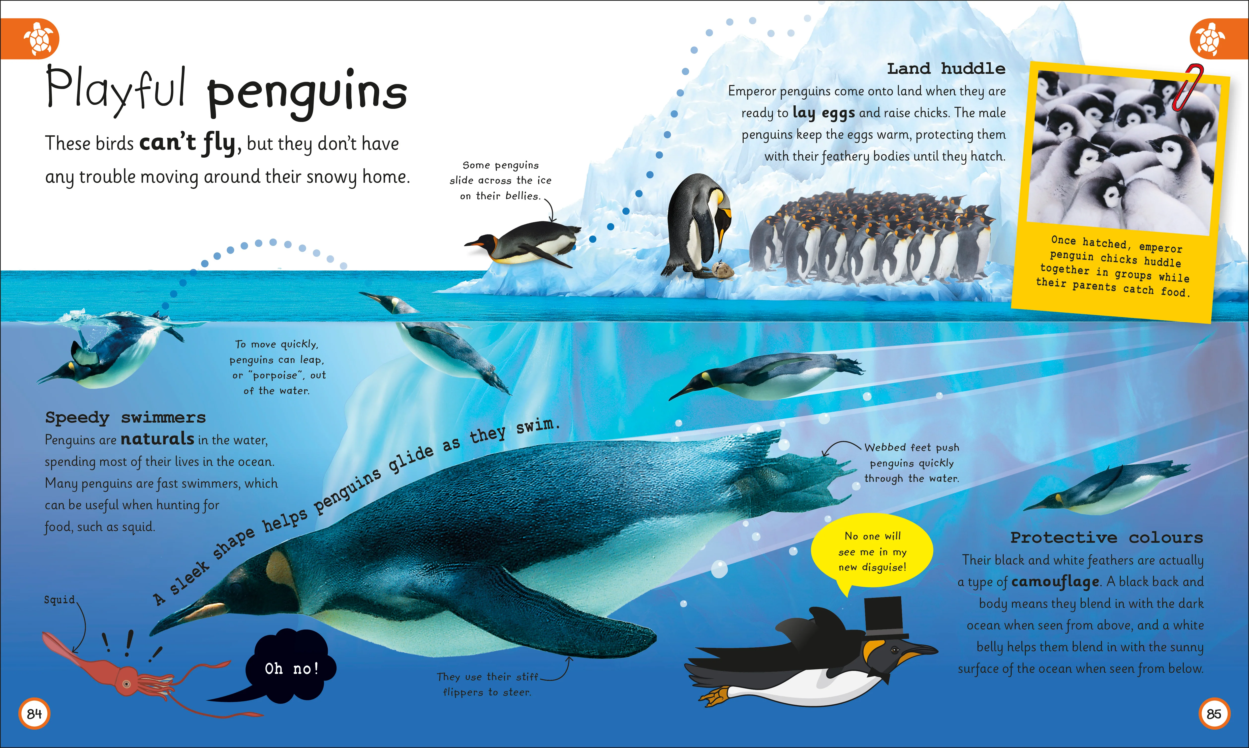 My Encyclopedia of Very Important Oceans - Image 3