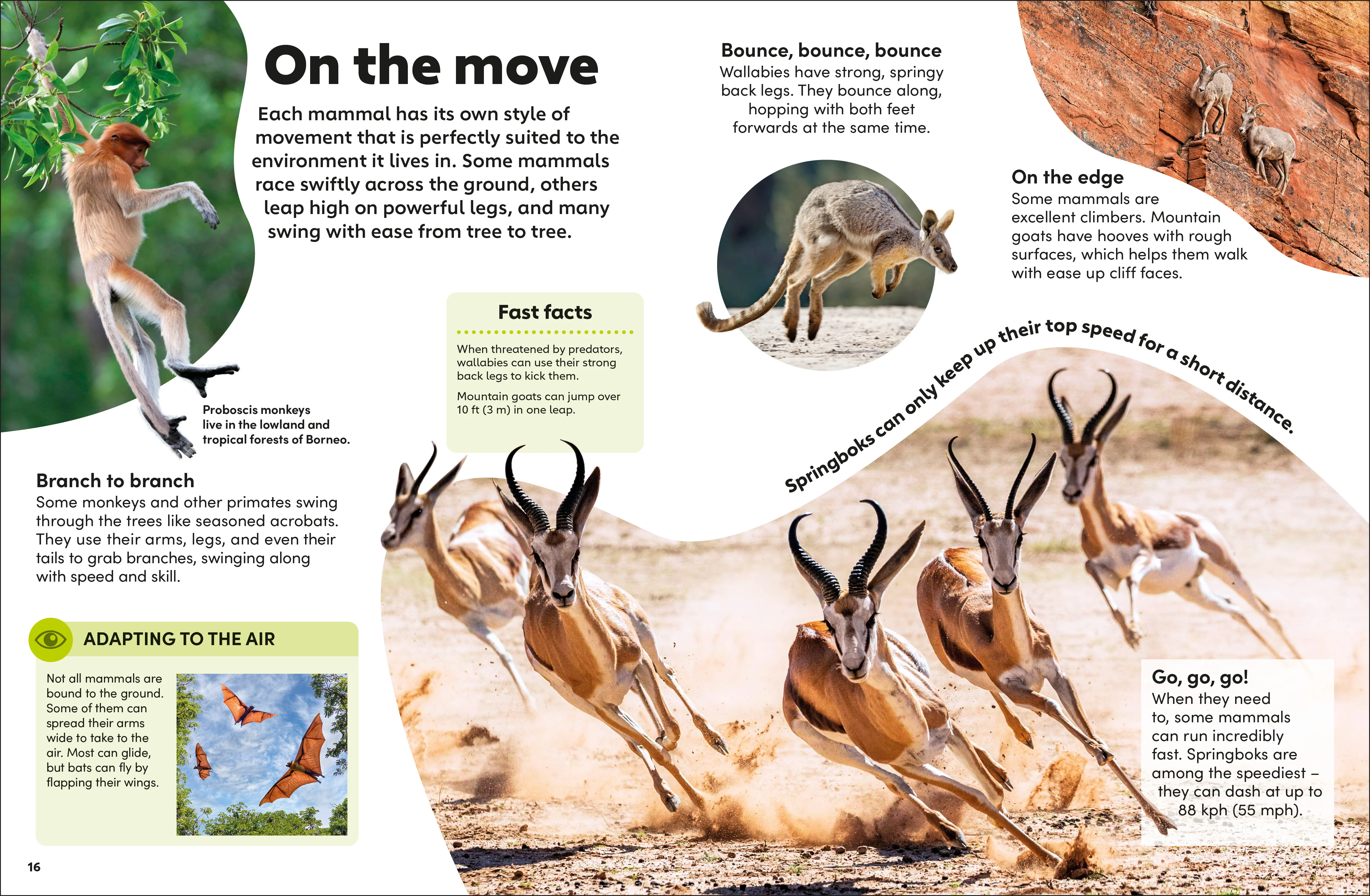 Eyewonder Mammals - Image 2