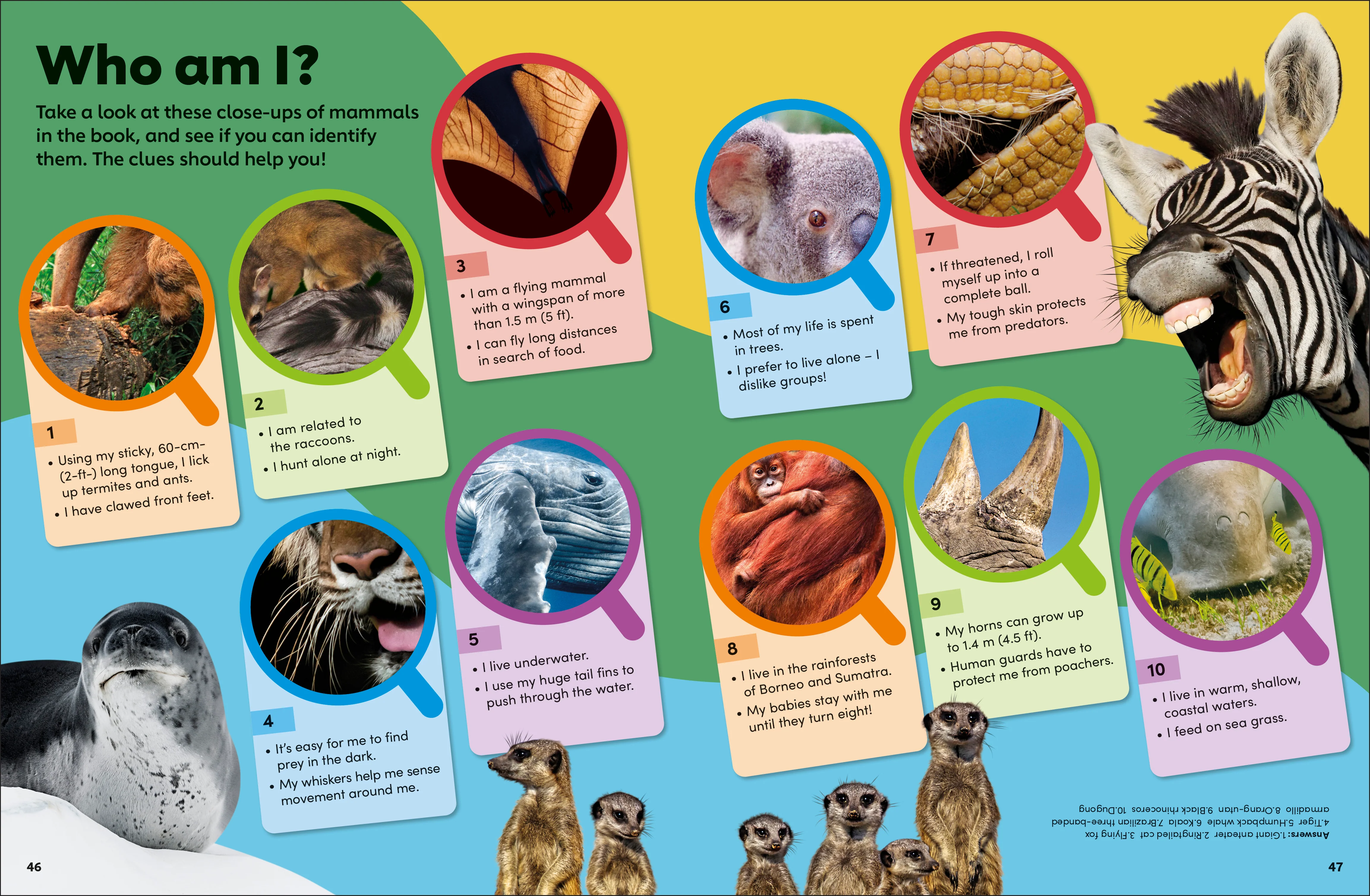Eyewonder Mammals - Image 6