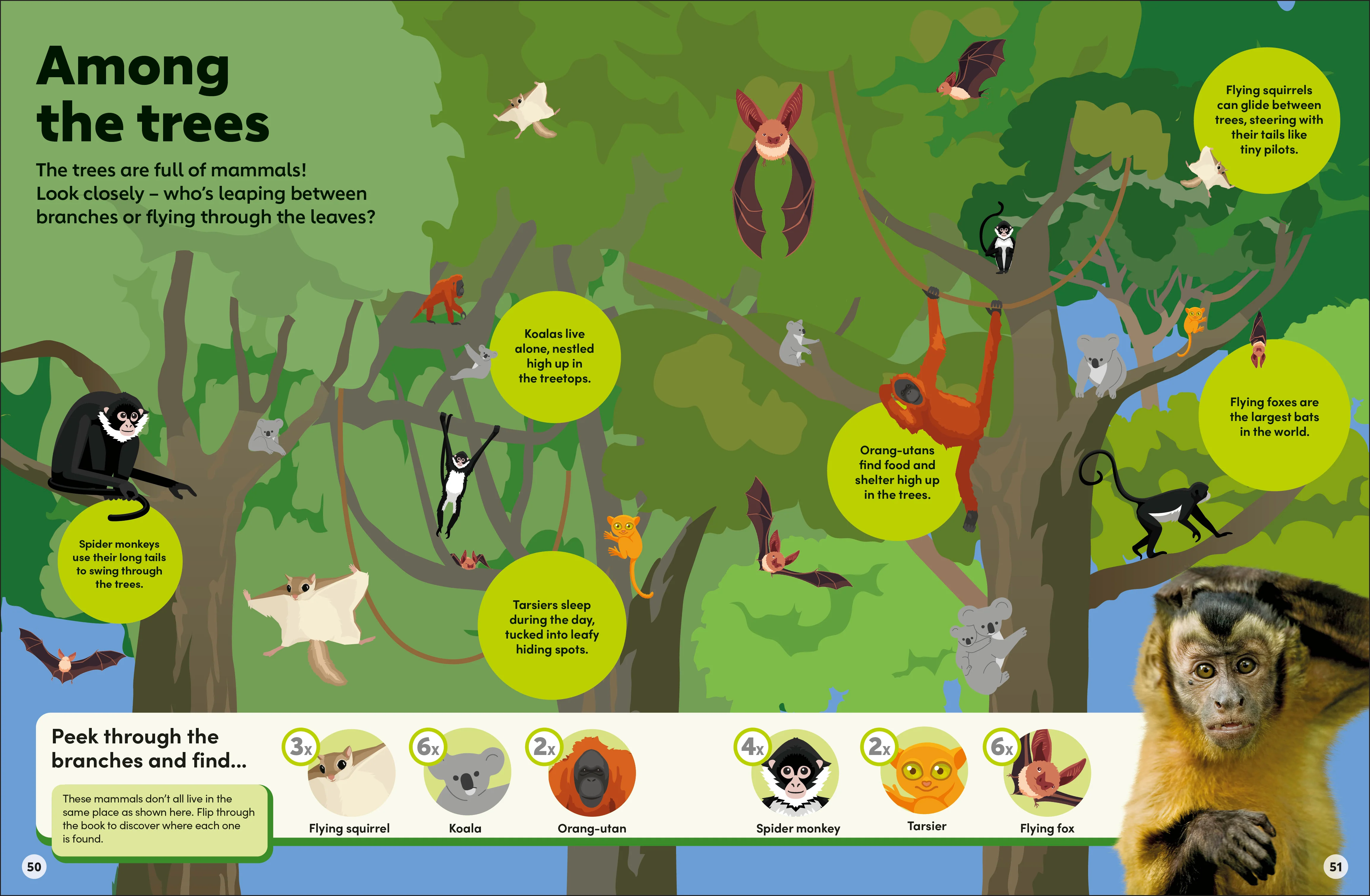 Eyewonder Mammals - Image 8