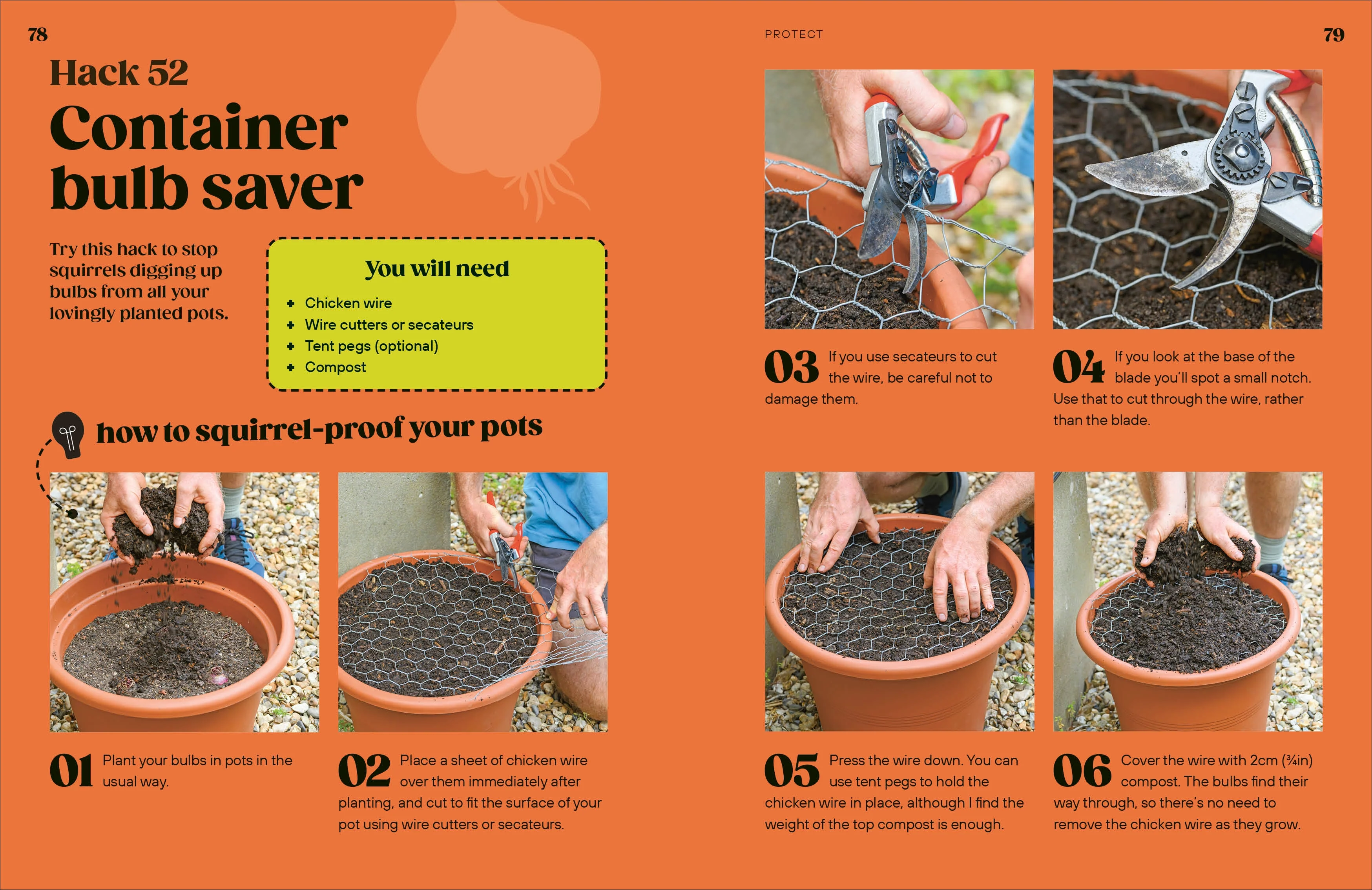Way to Grow - Image 4