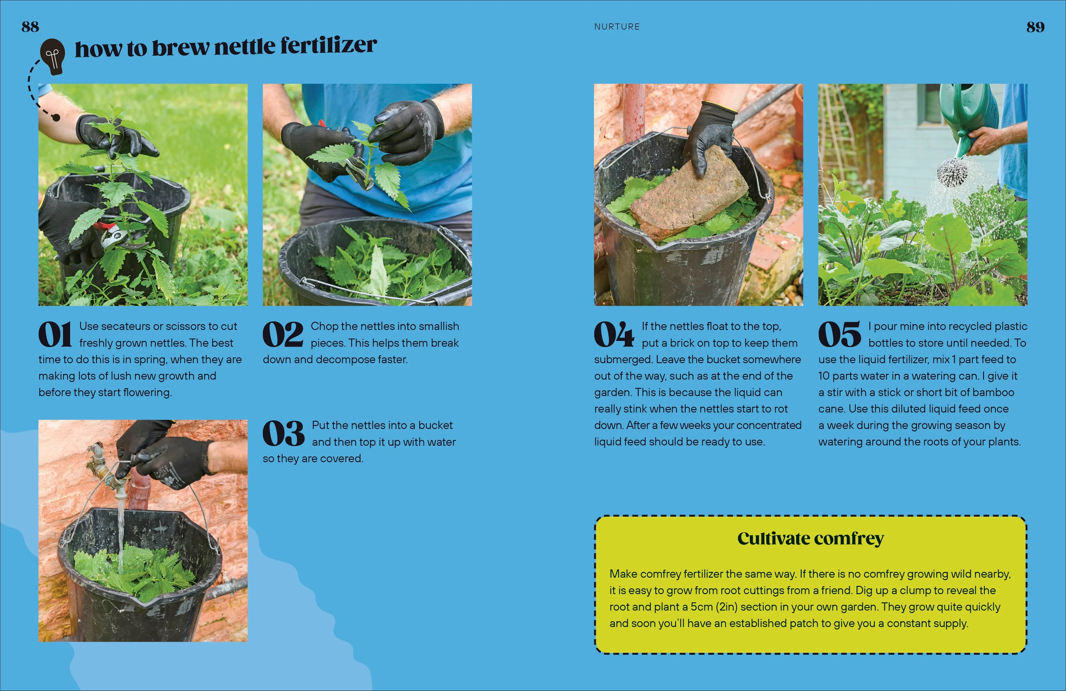 Way to Grow - Image 6