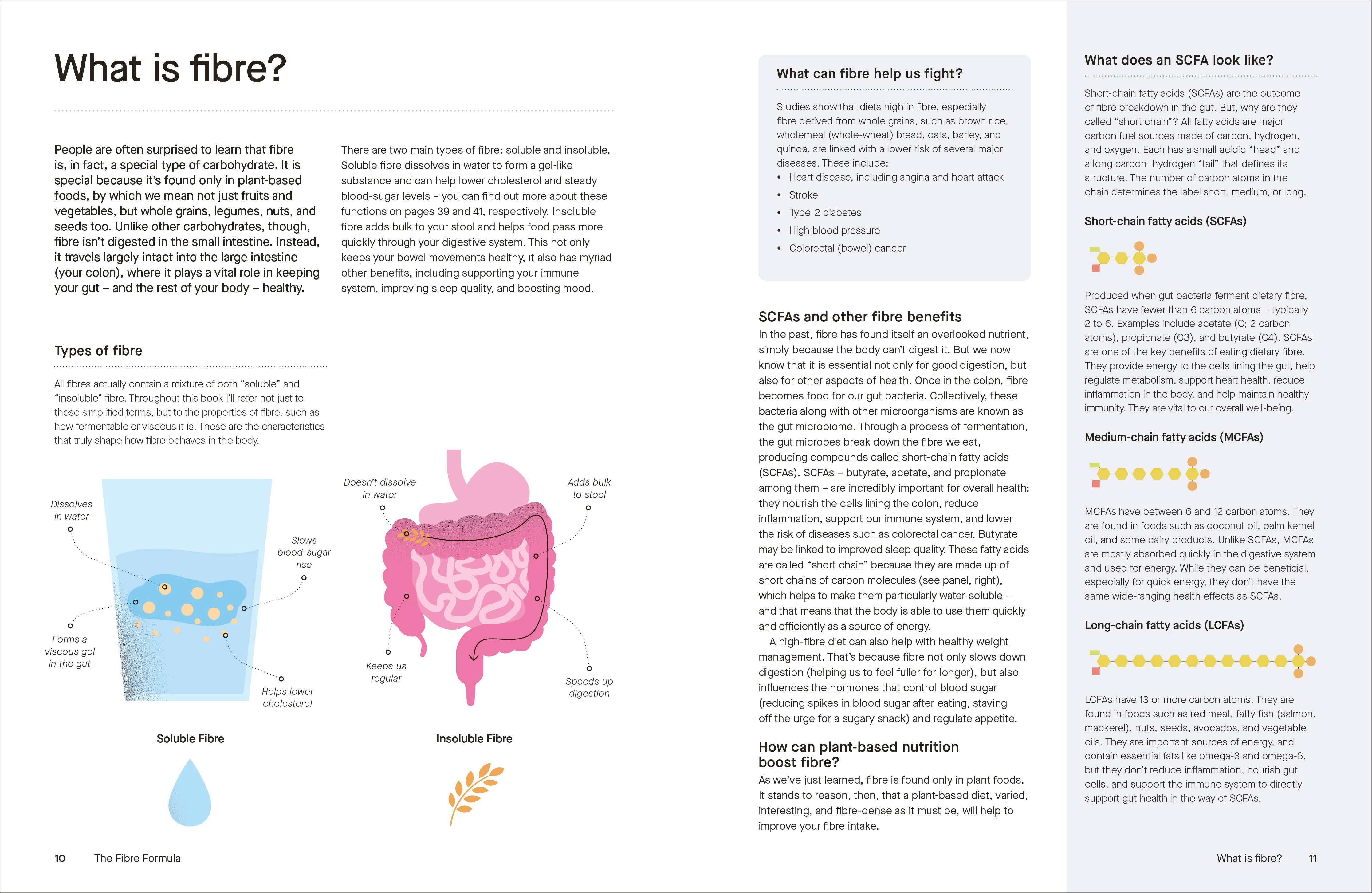 The Fibre Formula - Image 3