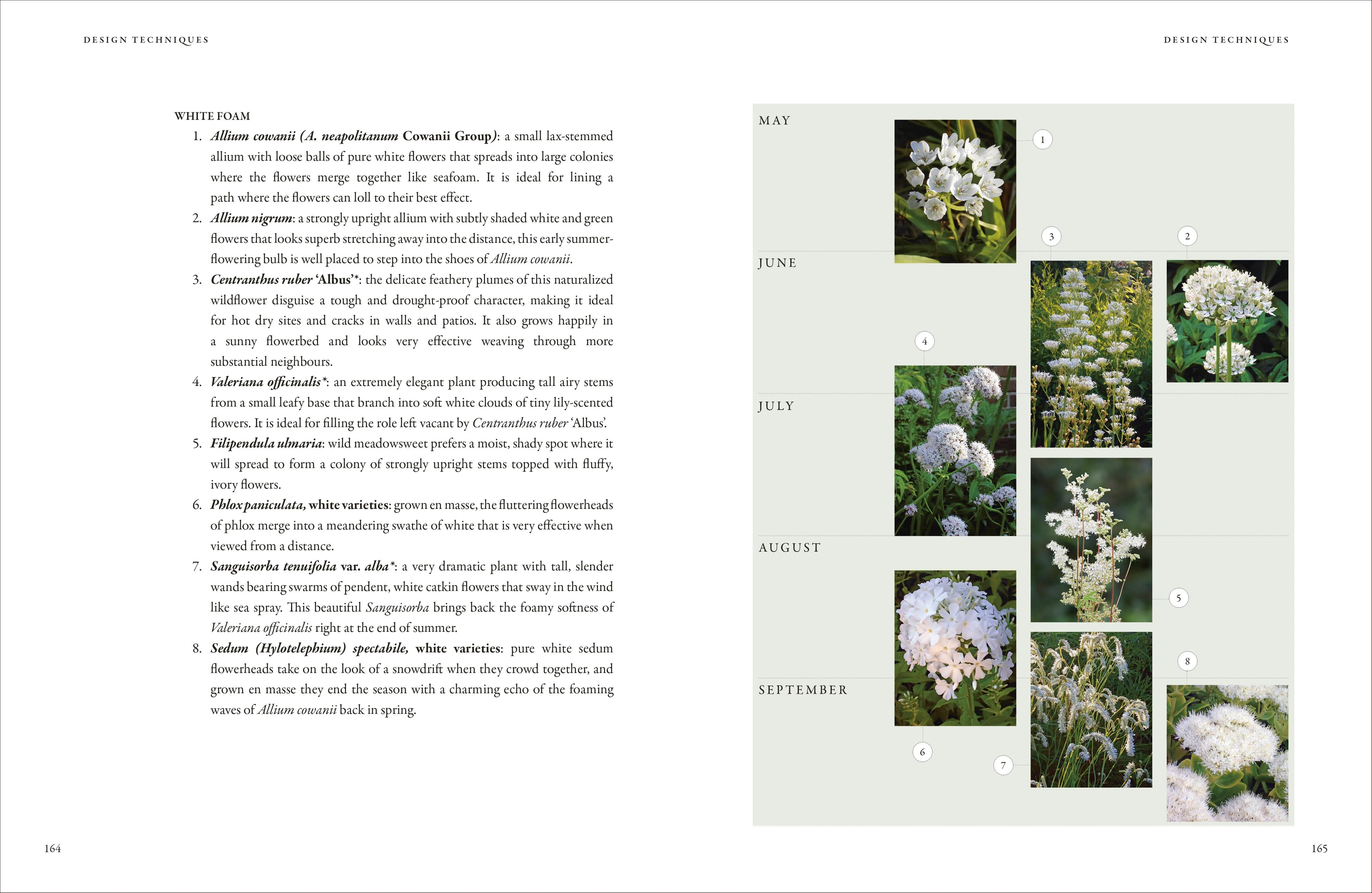 In Nature's Slipstream - Image 6