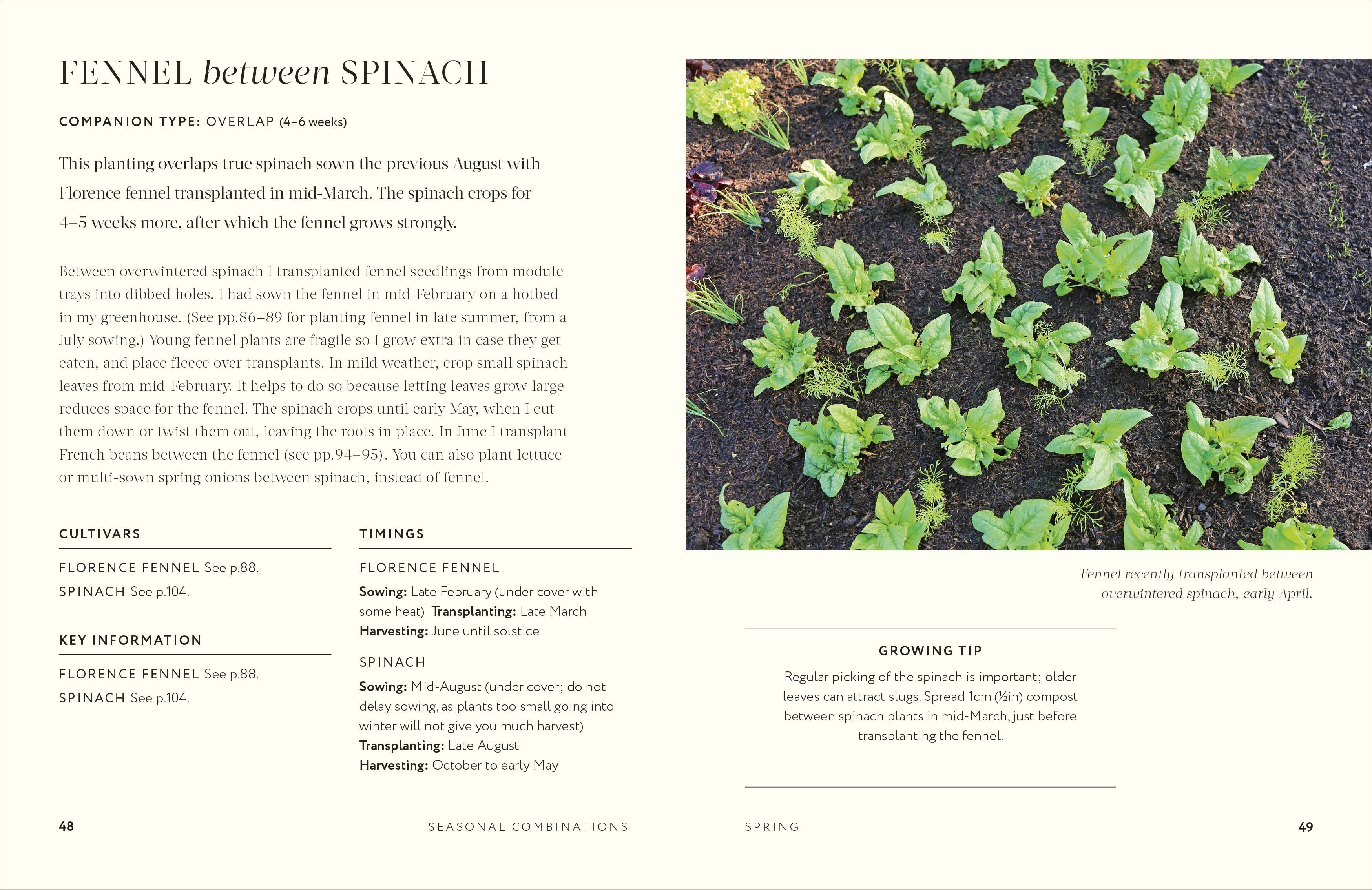 Grow Together - Image 5