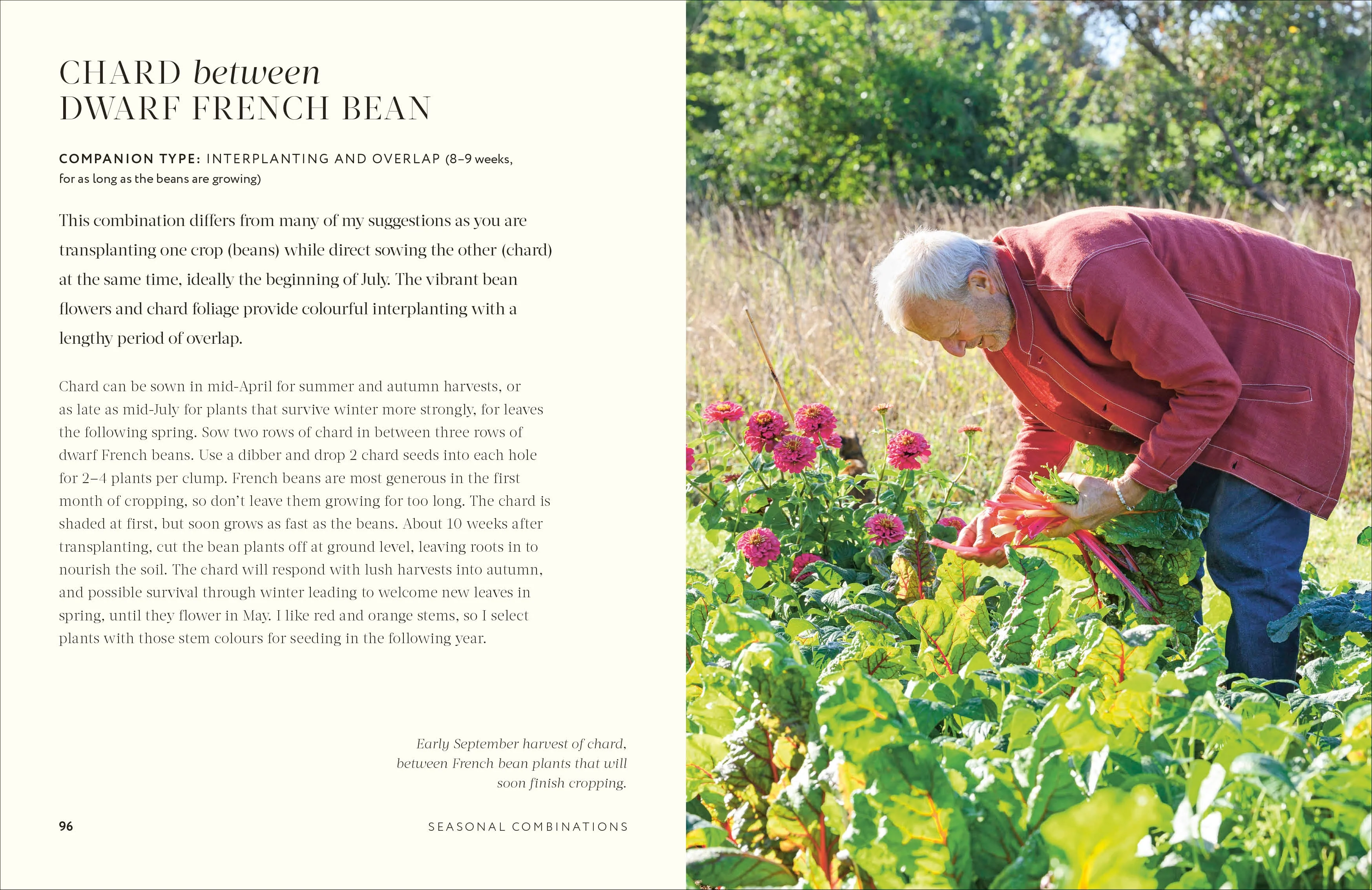 Grow Together - Image 6