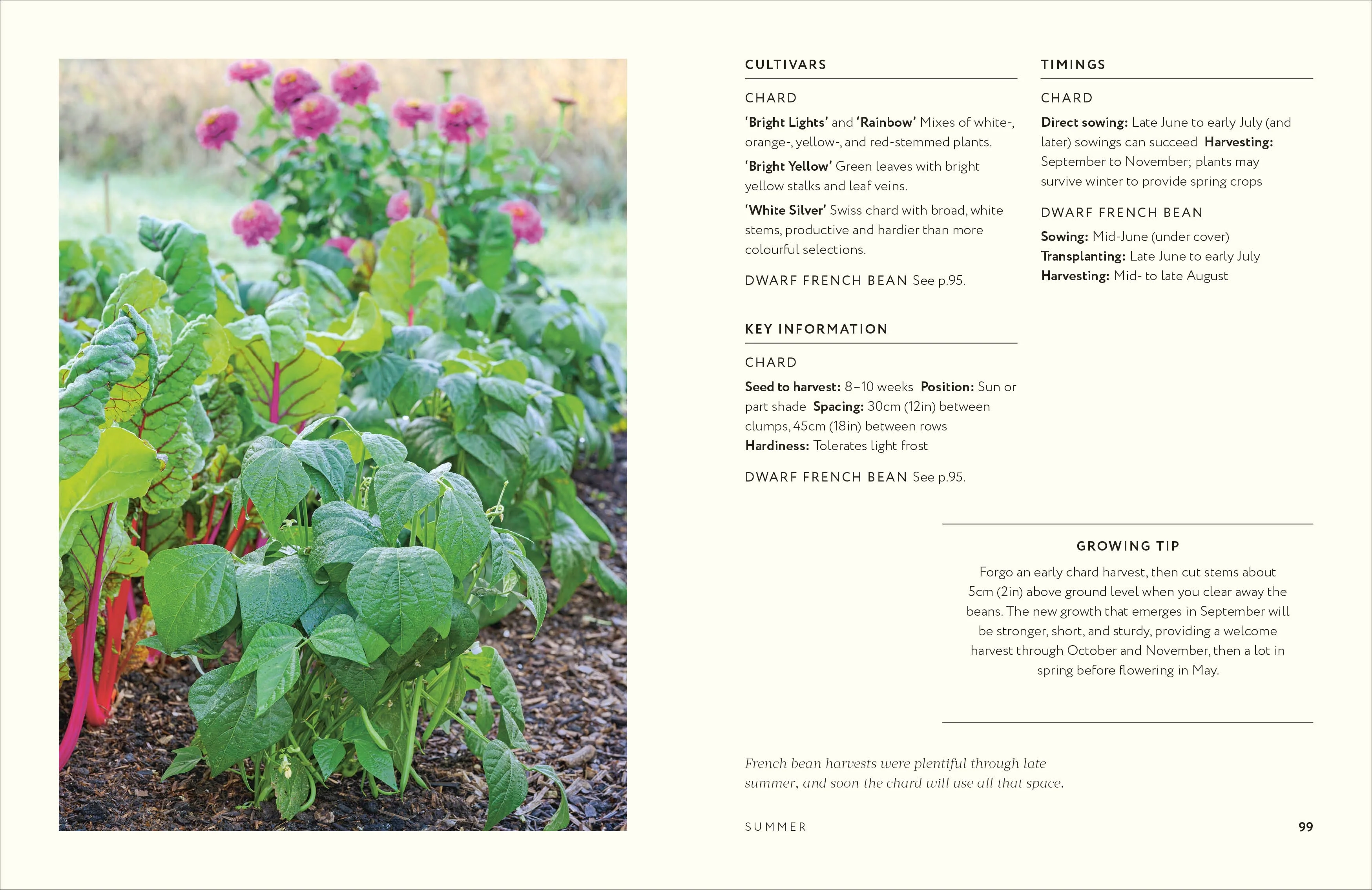 Grow Together - Image 7