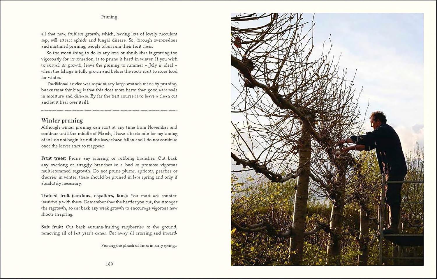Down to Earth - Image 7