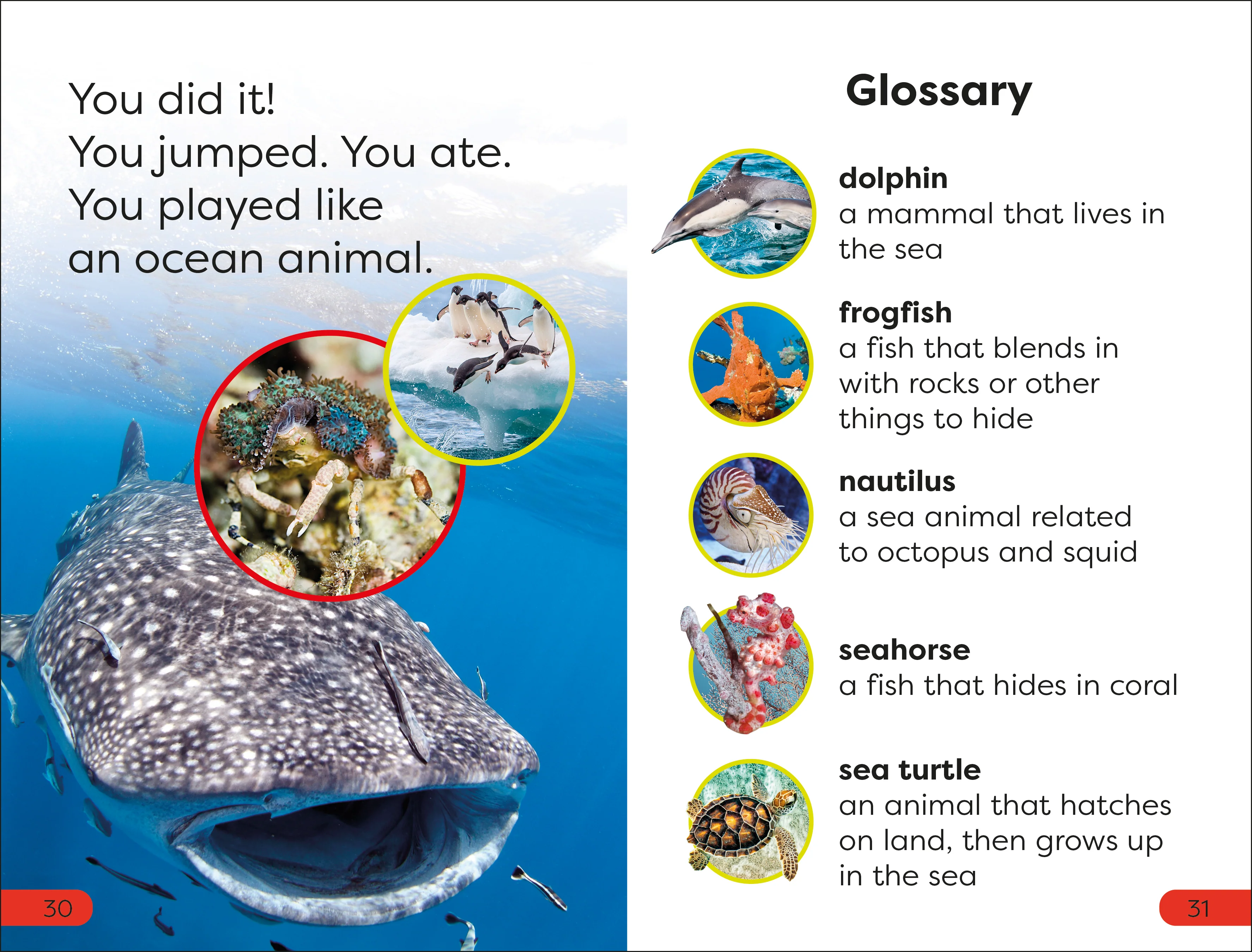 DK Super Readers Pre-level box set - Image 4