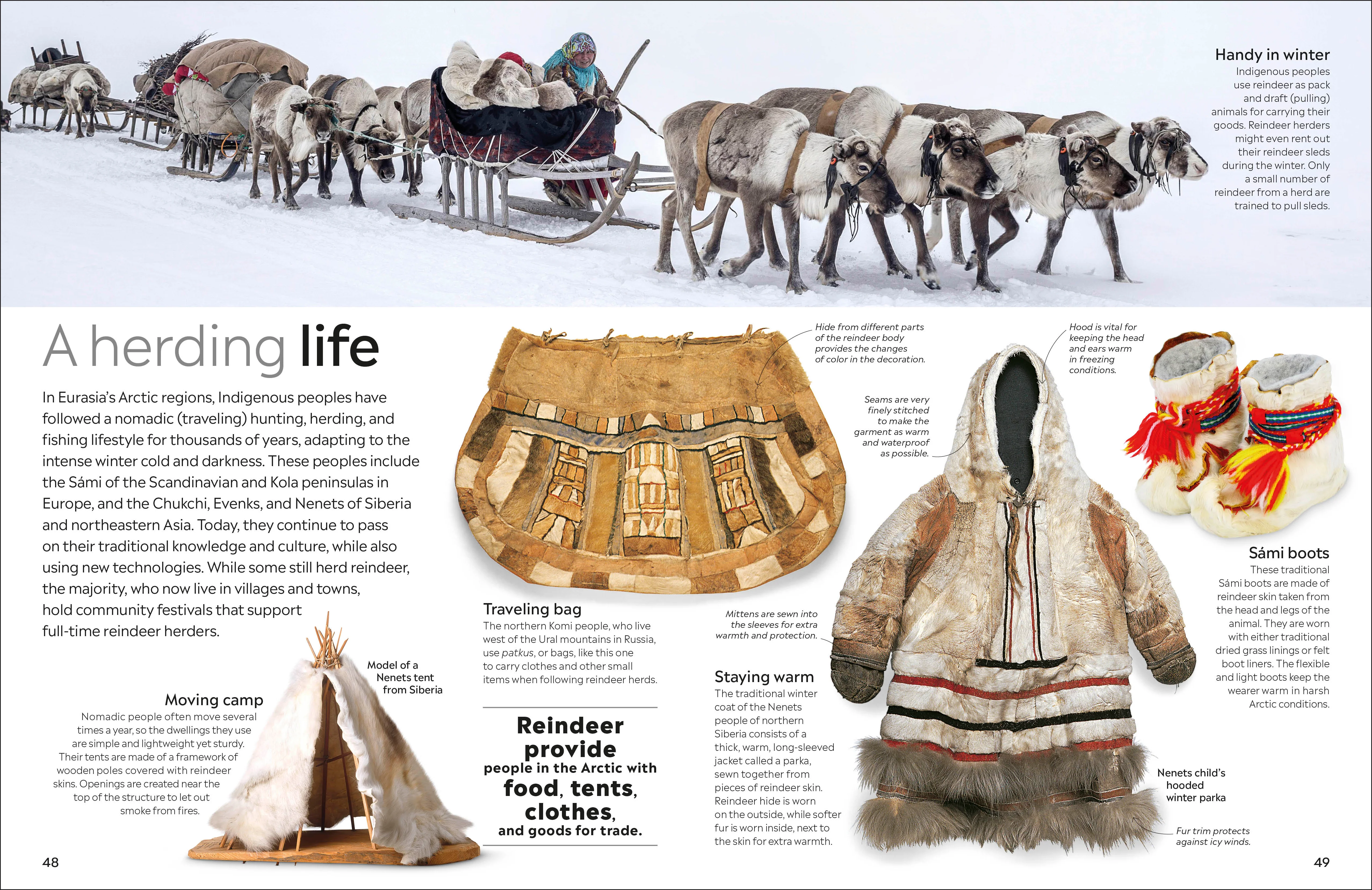Arctic and Antarctic - Image 3