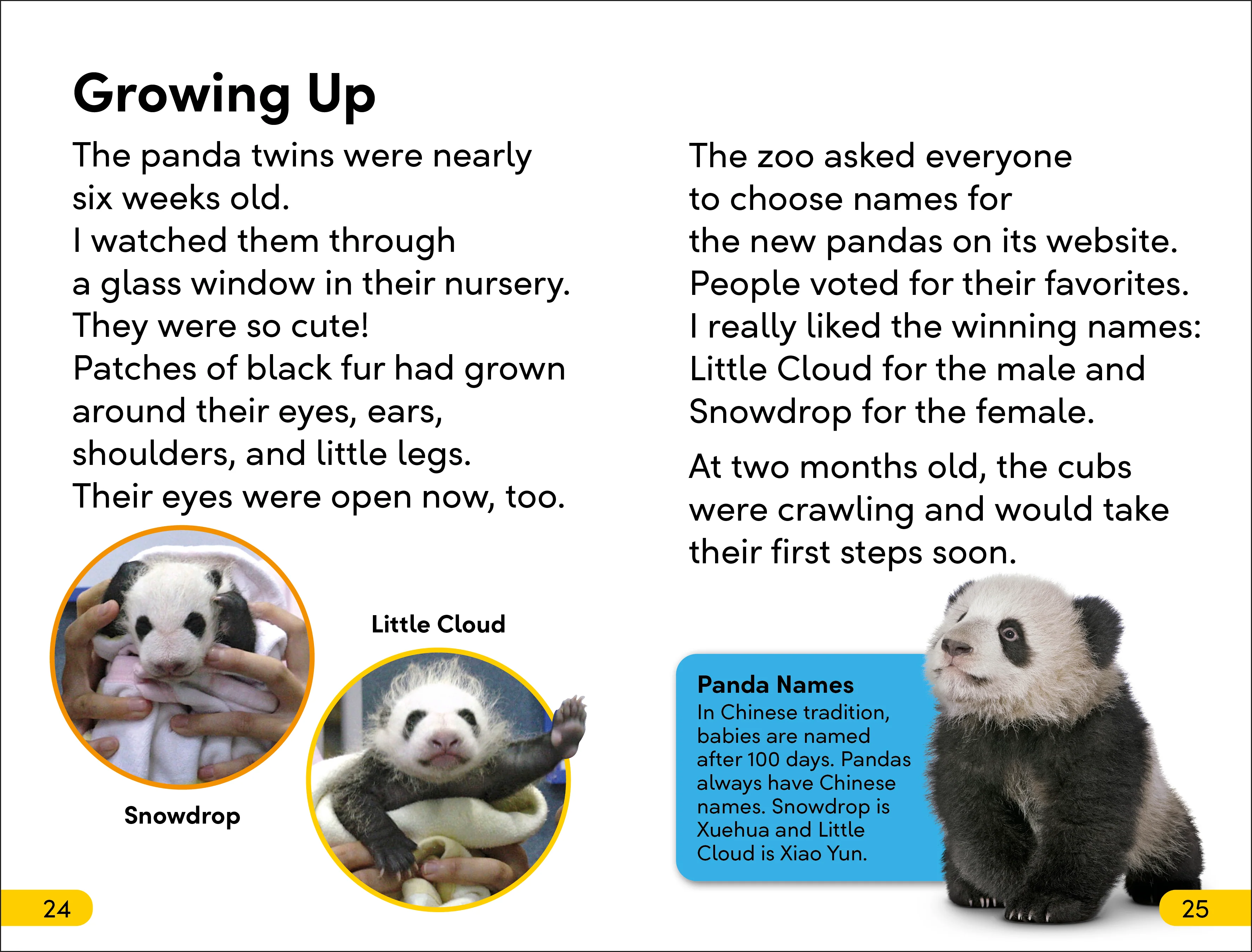 DK Super Readers Level 2 box set - Image 3