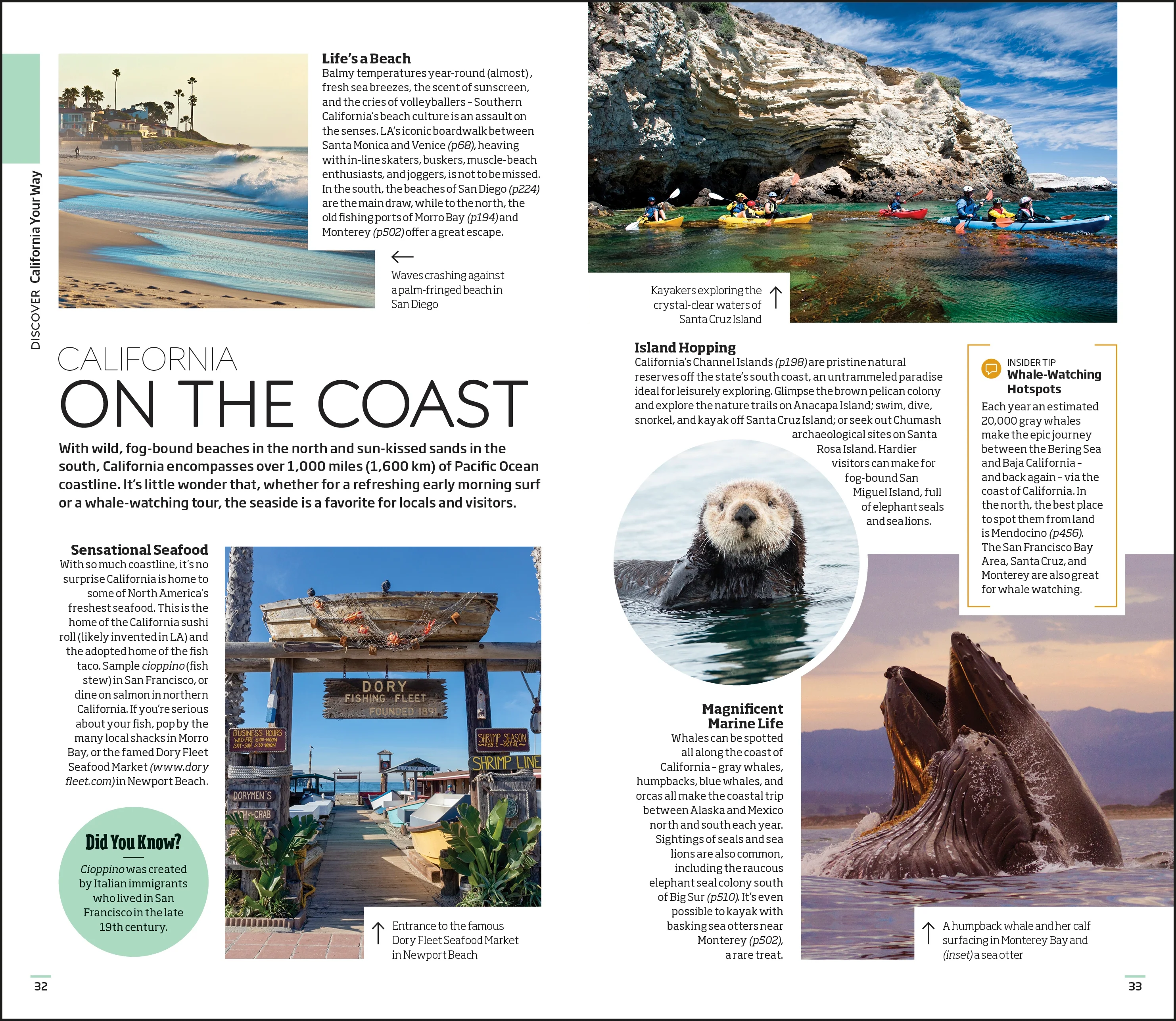 DK California - Image 5