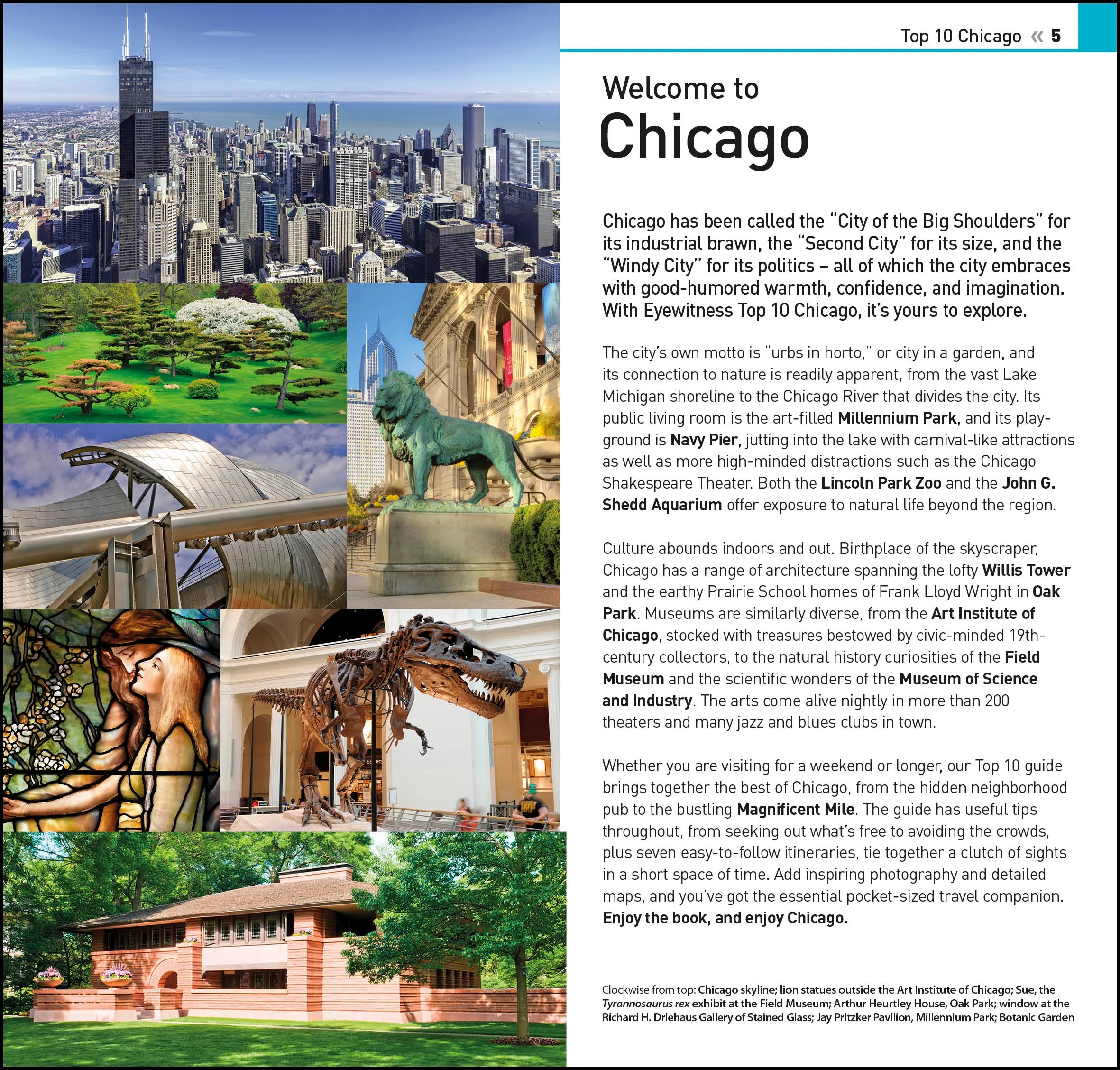DK Top 10 Chicago - Image 3