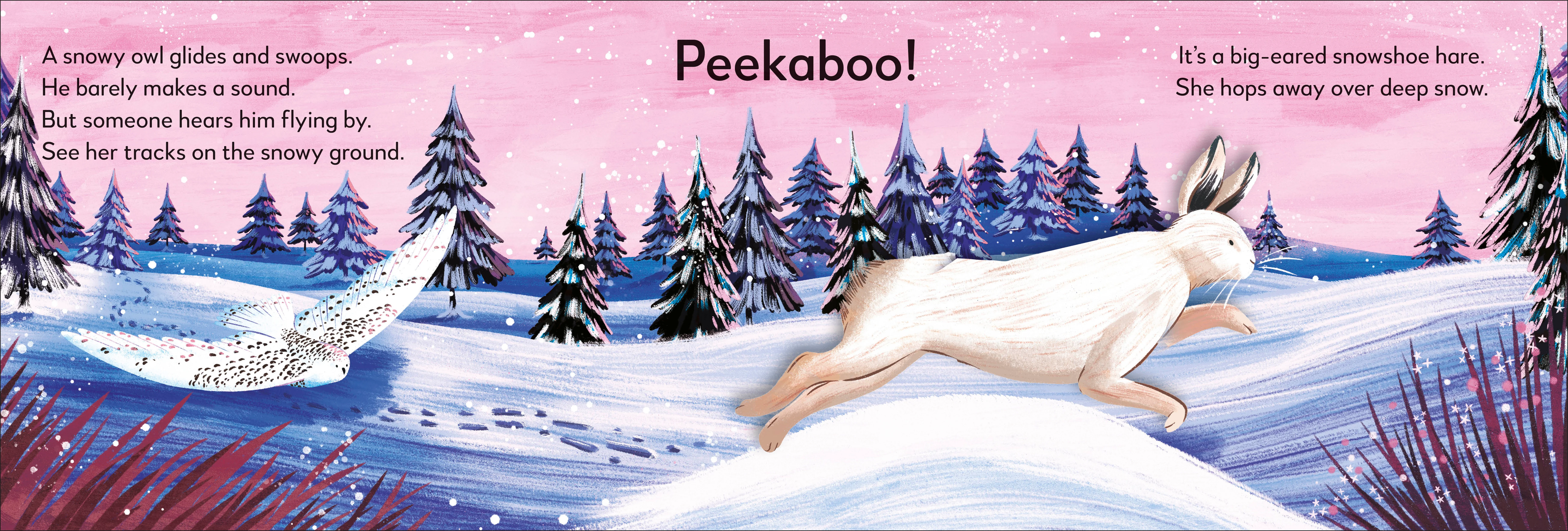 Pop-up Peekaboo! Winter - Image 5