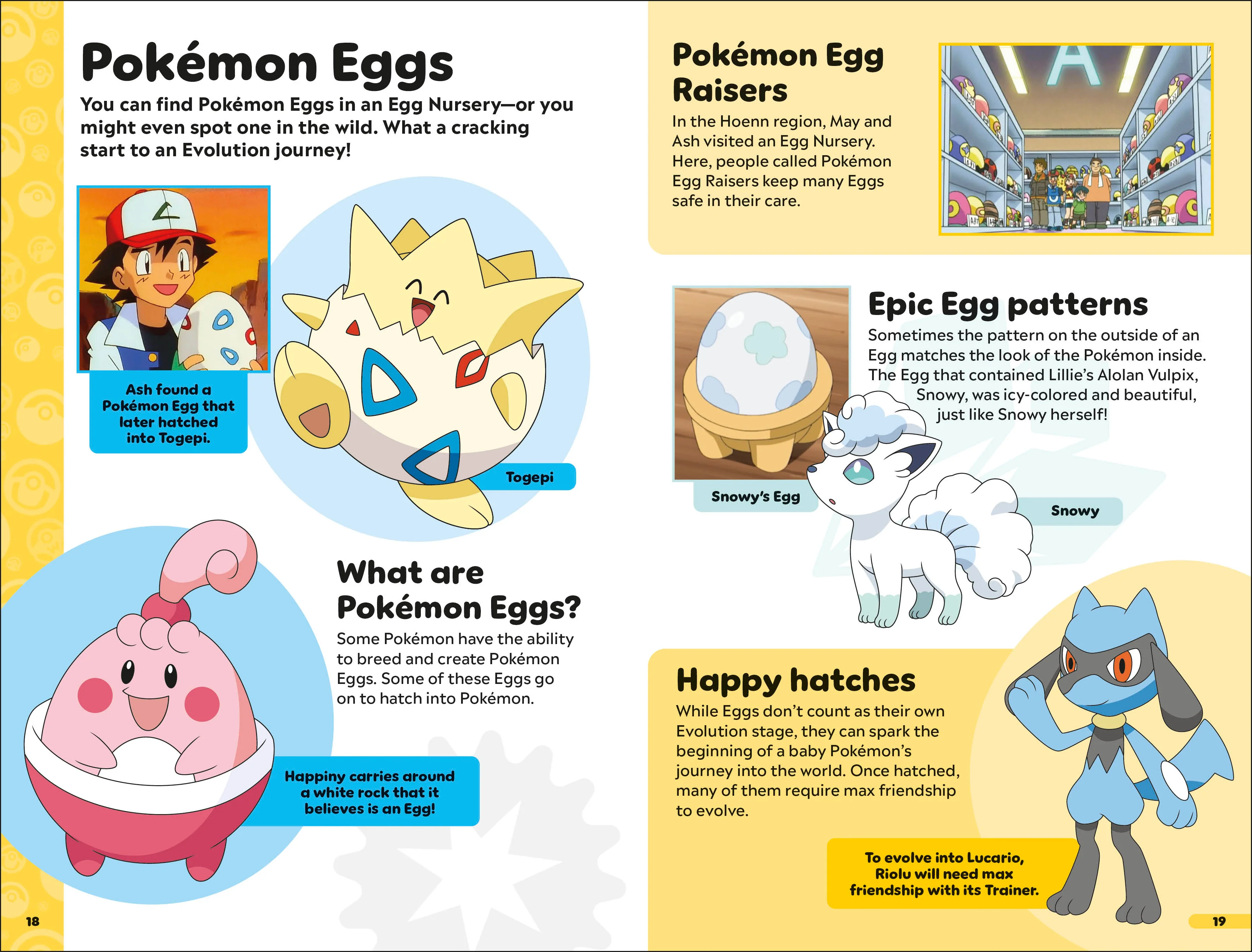 Pokémon Book of Evolutions - Image 3