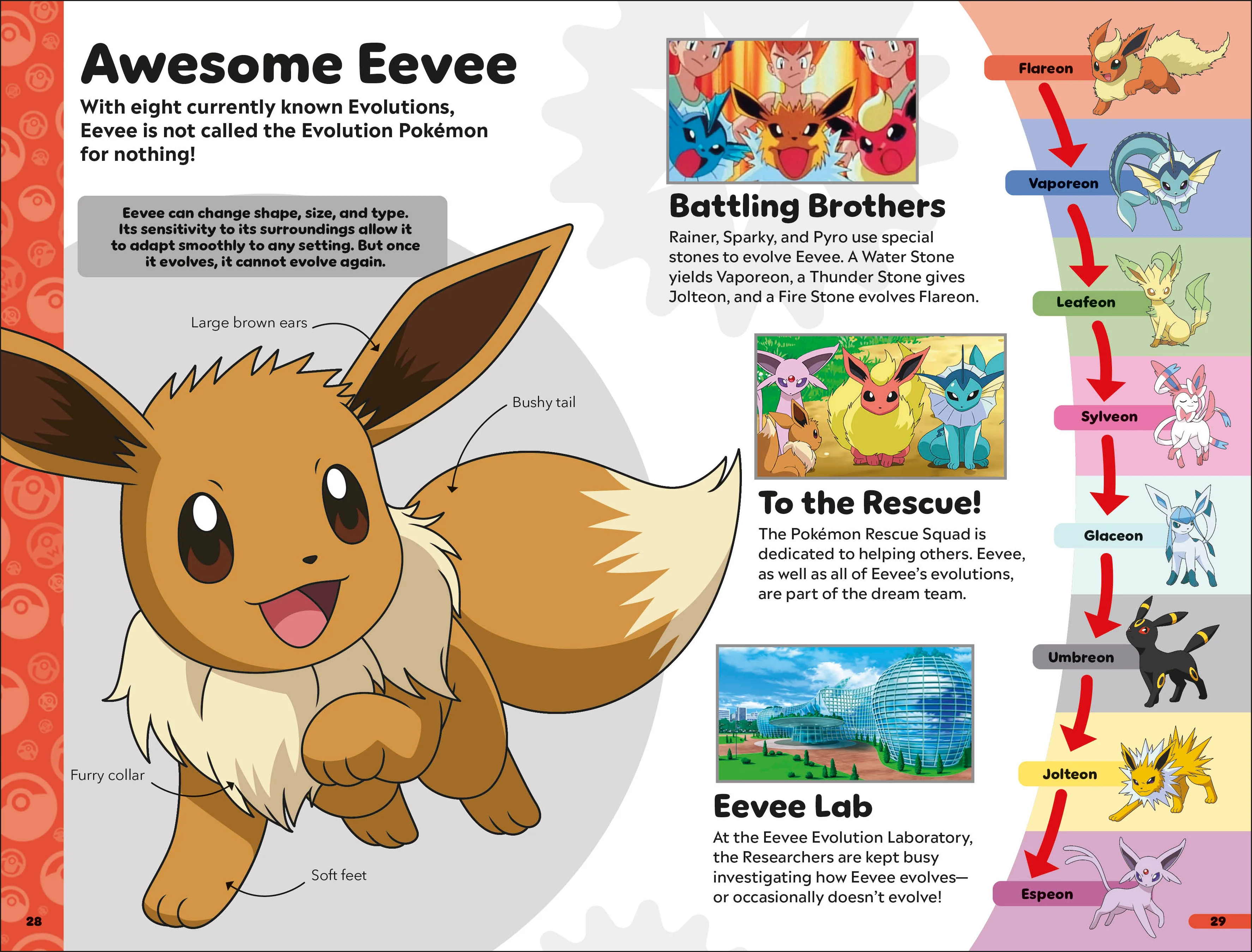 Pokémon Book of Evolutions - Image 4
