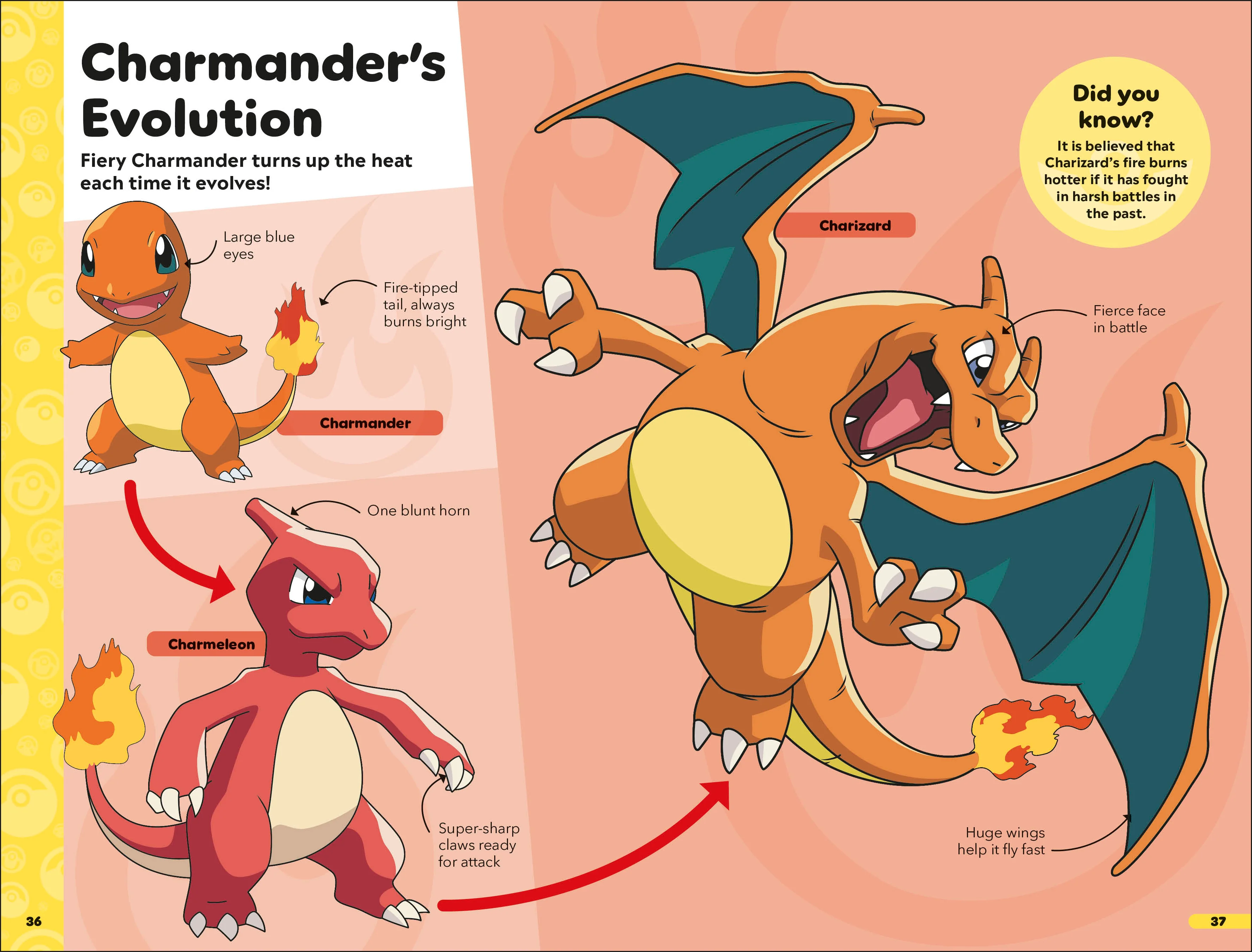 Pokémon Book of Evolutions - Image 5