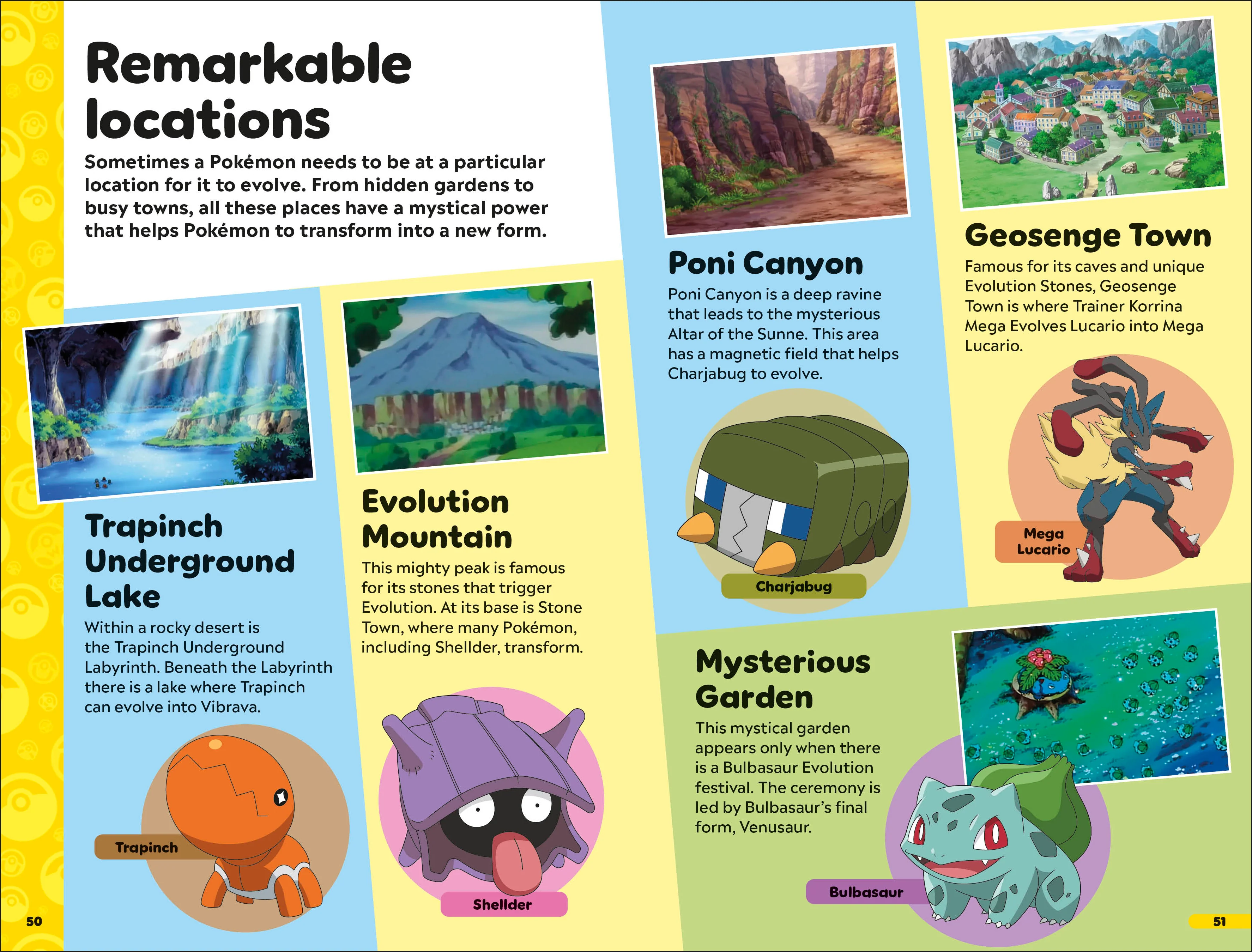 Pokémon Book of Evolutions - Image 7